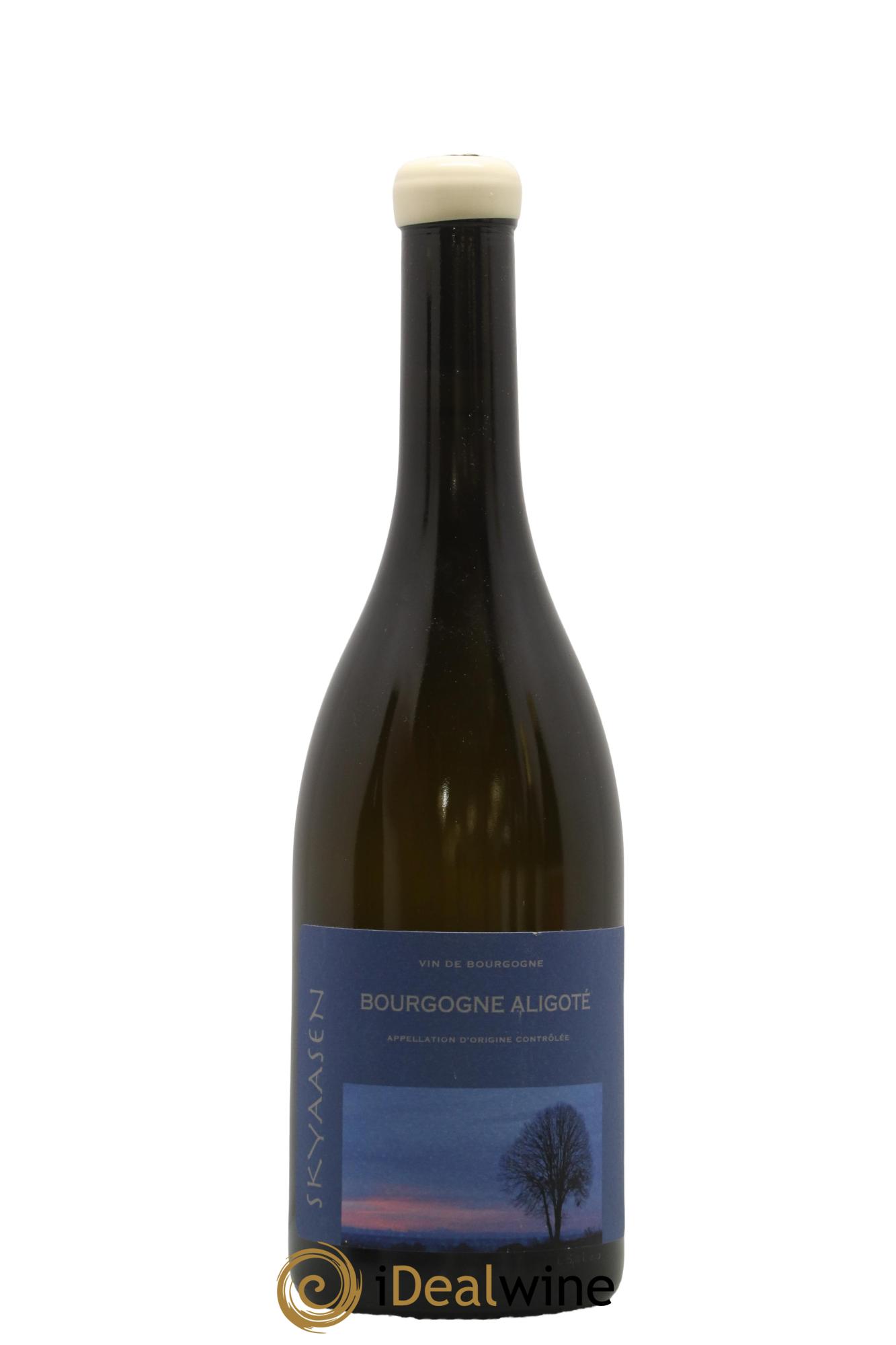 Bourgogne Aligoté Maison Skyaasen 2023 - Posten von 1 Flasche - 0