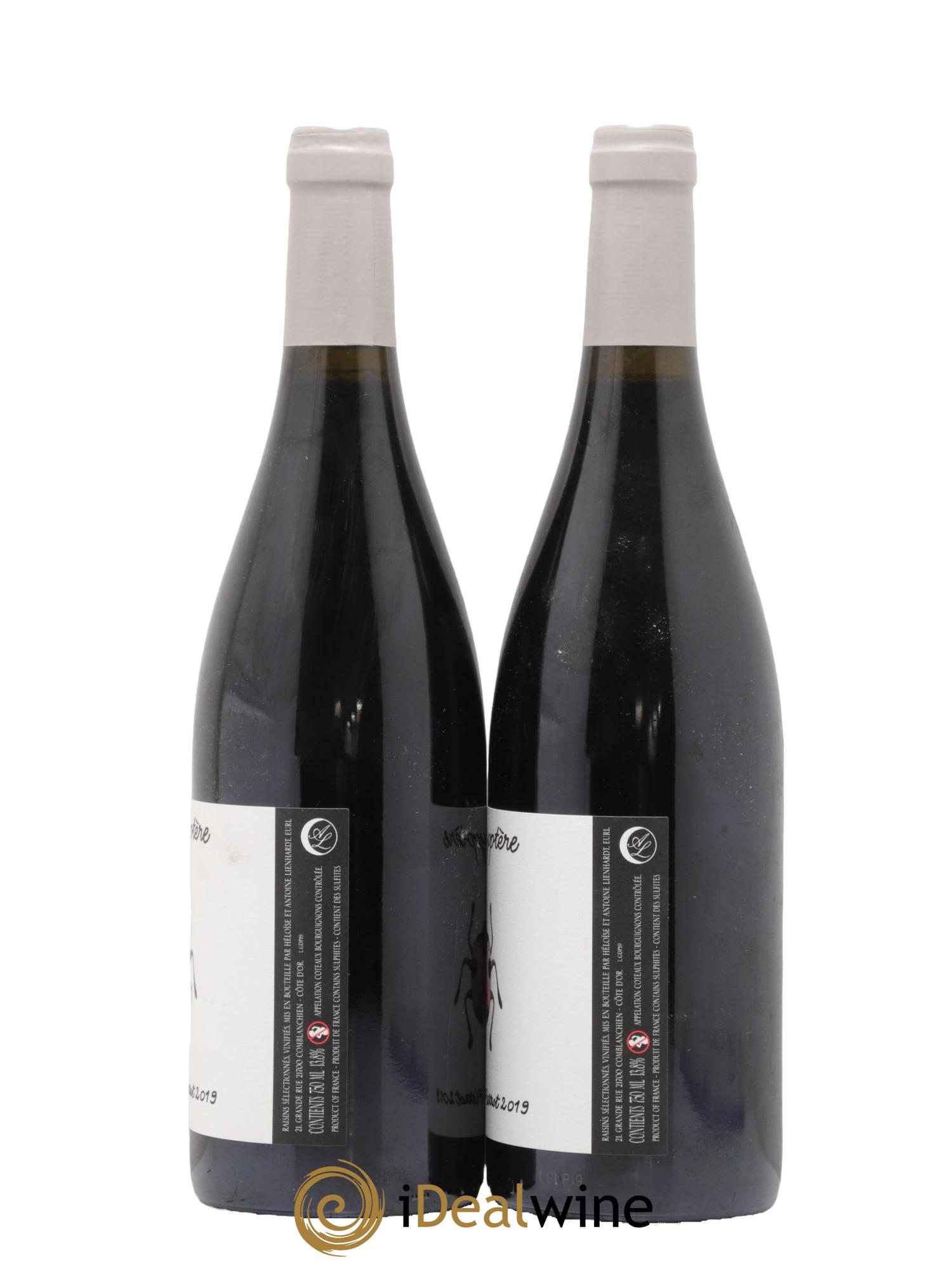 Coteaux Bourguignons Gamayoptère Antoine Lienhardt 2019 - Lot de 2 bouteilles - 1