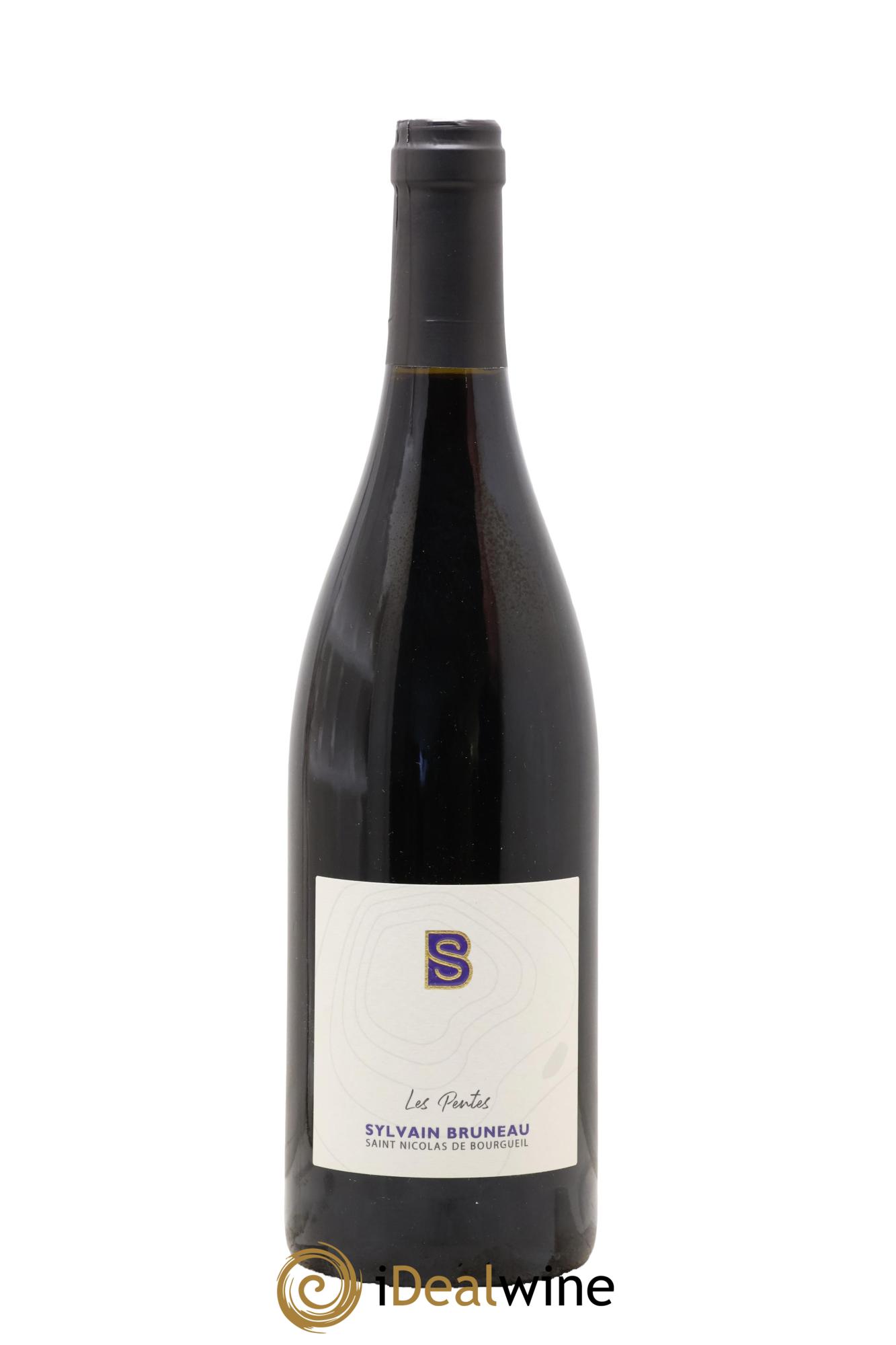 Saint-Nicolas de Bourgueil Les Pentes Domaine Sylvain Bruneau 2022 - Posten von 1 Flasche - 0