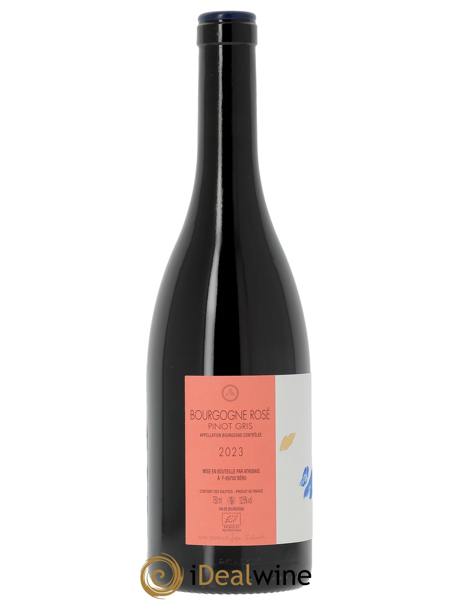 Bourgogne Pinot Gris Athénaïs de Béru  2023 - Lot de 1 bouteille - 1