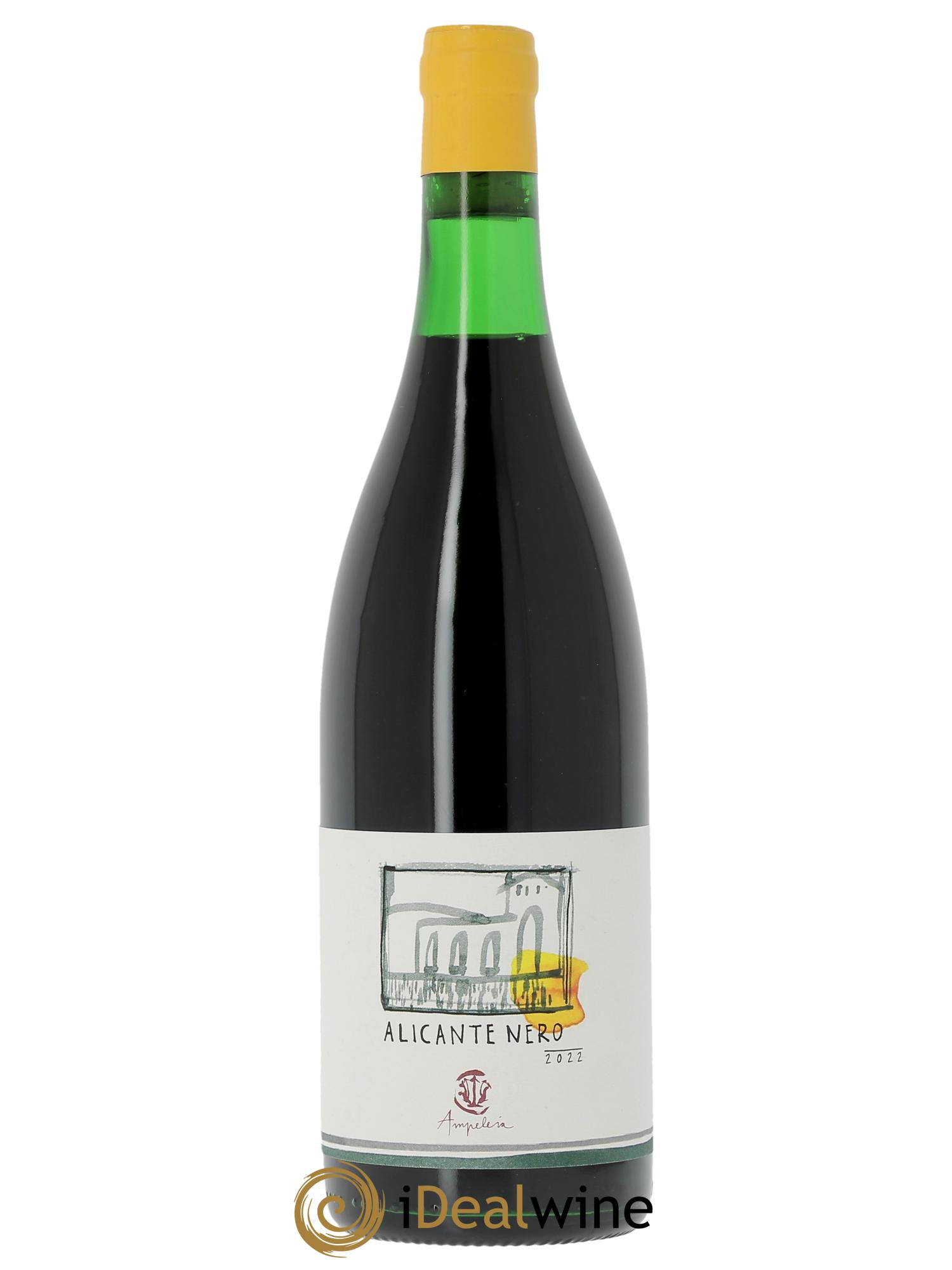 Toscana IGT Ampeleia Alicante Elisabetta Foradori  2022 - Lot of 1 bottle - 0