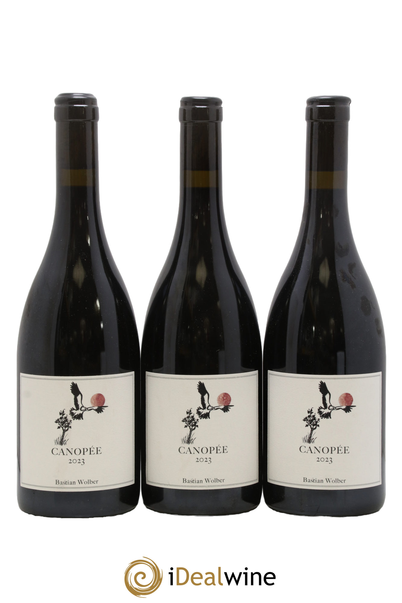 Bourgogne Côte-d'Or Canopée Bastian Wolber 2023 - Lot de 3 bouteilles - 0