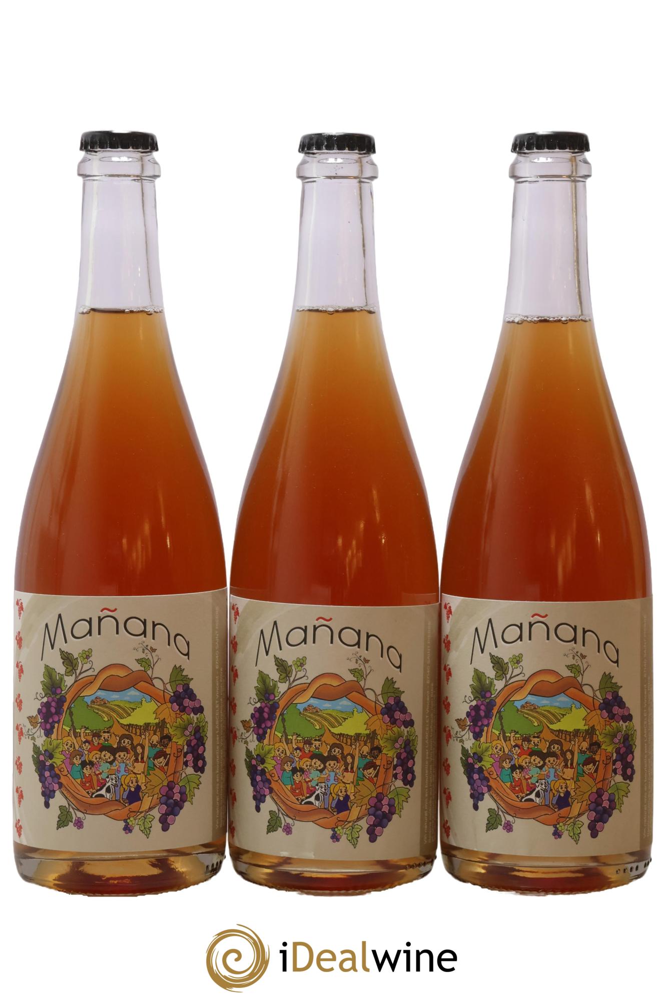 Vin de France Manana Domaine Du Petit Bouchon 2023 - Lot de 3 bouteilles - 0