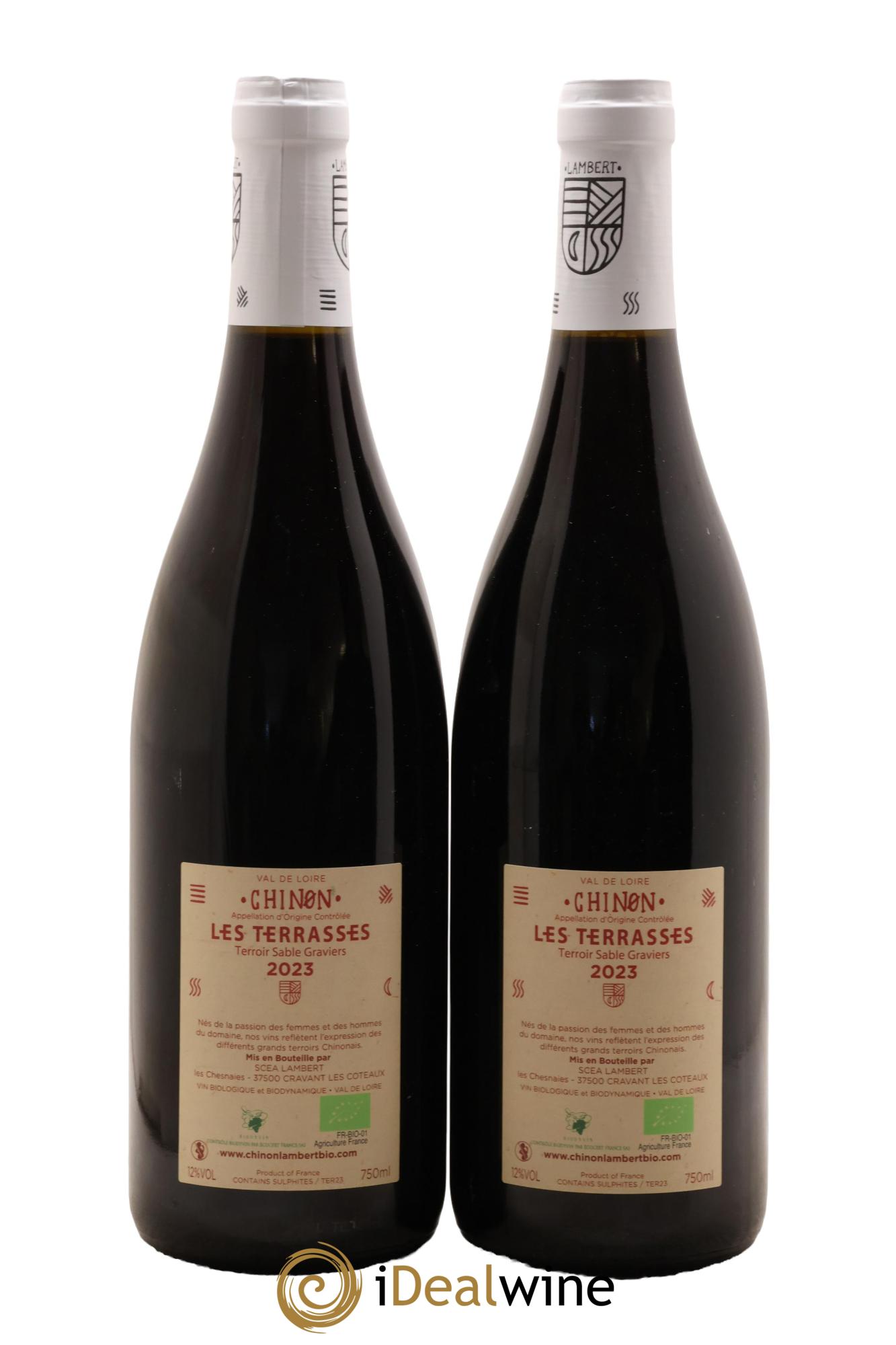 Chinon Les Terrasses Domaine Lambert 2023 - Lotto di 2 bottiglie - 1