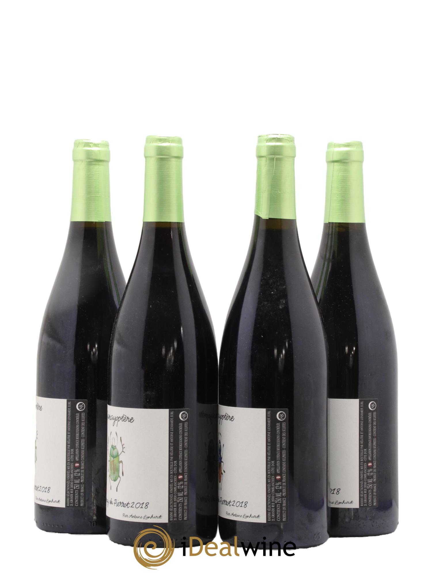 Coteaux Bourguignons Gamayoptère Antoine Lienhardt 2018 - Lot de 4 bouteilles - 1
