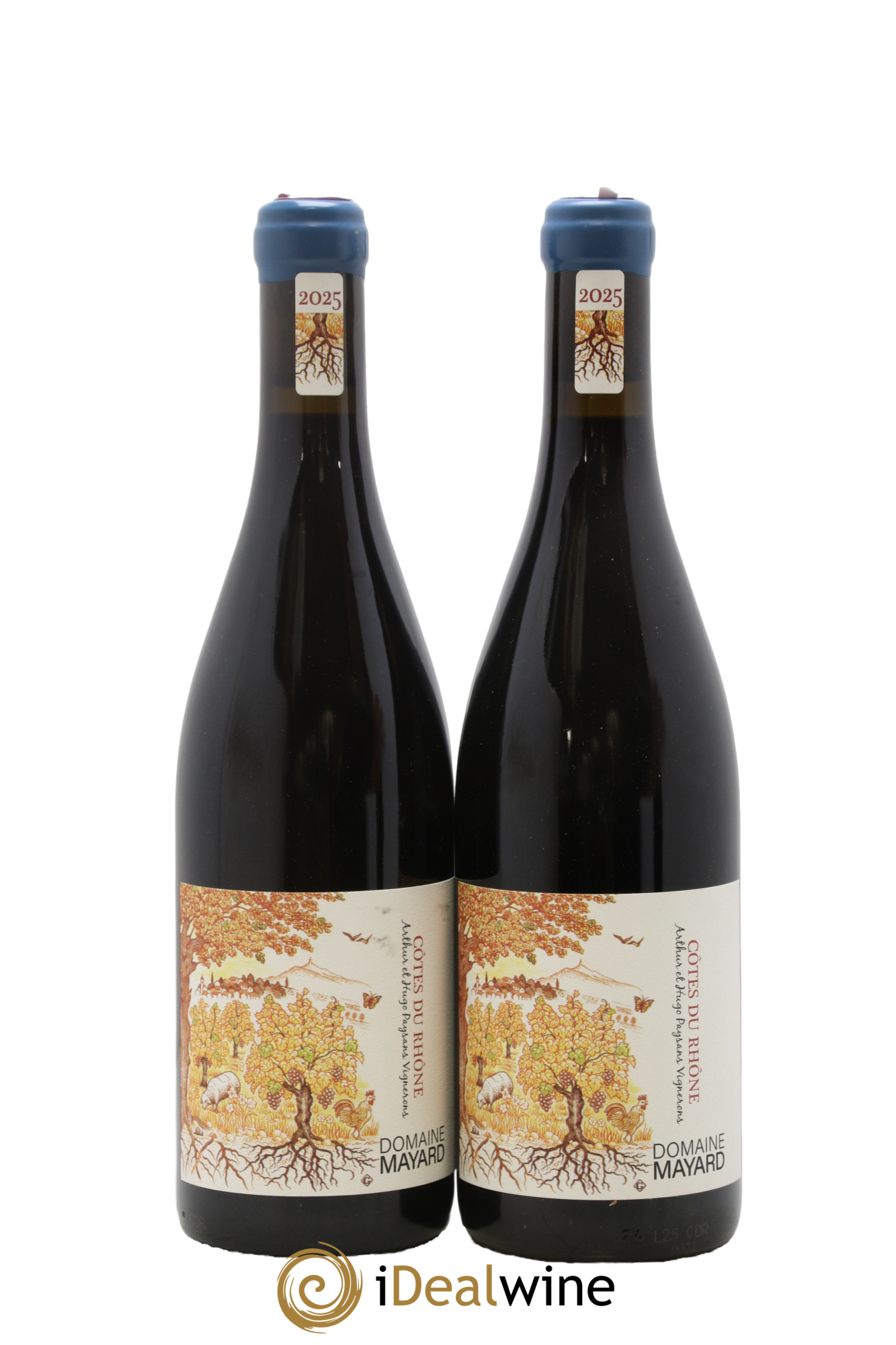 Côtes-du-Rhône Mayard (Domaine) 2025 - Lot de 2 bouteilles - 0