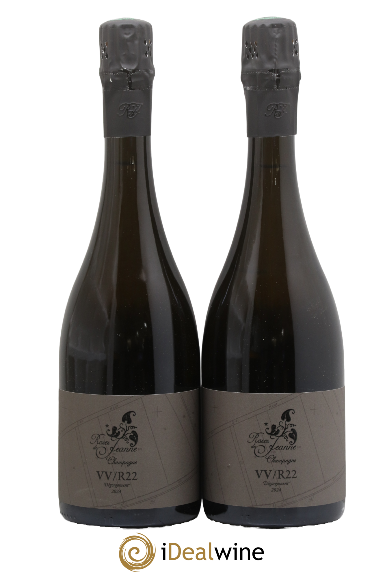Roses de Jeanne Côte de Val Vilaine Blanc de Noirs Cédric Bouchard 2022 - Lot de 2 bouteilles - 0