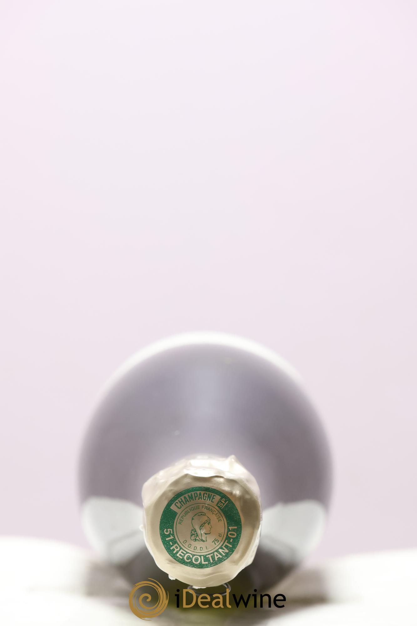 Version Originale Jacques Selosse - Posten von 1 Flasche - 2