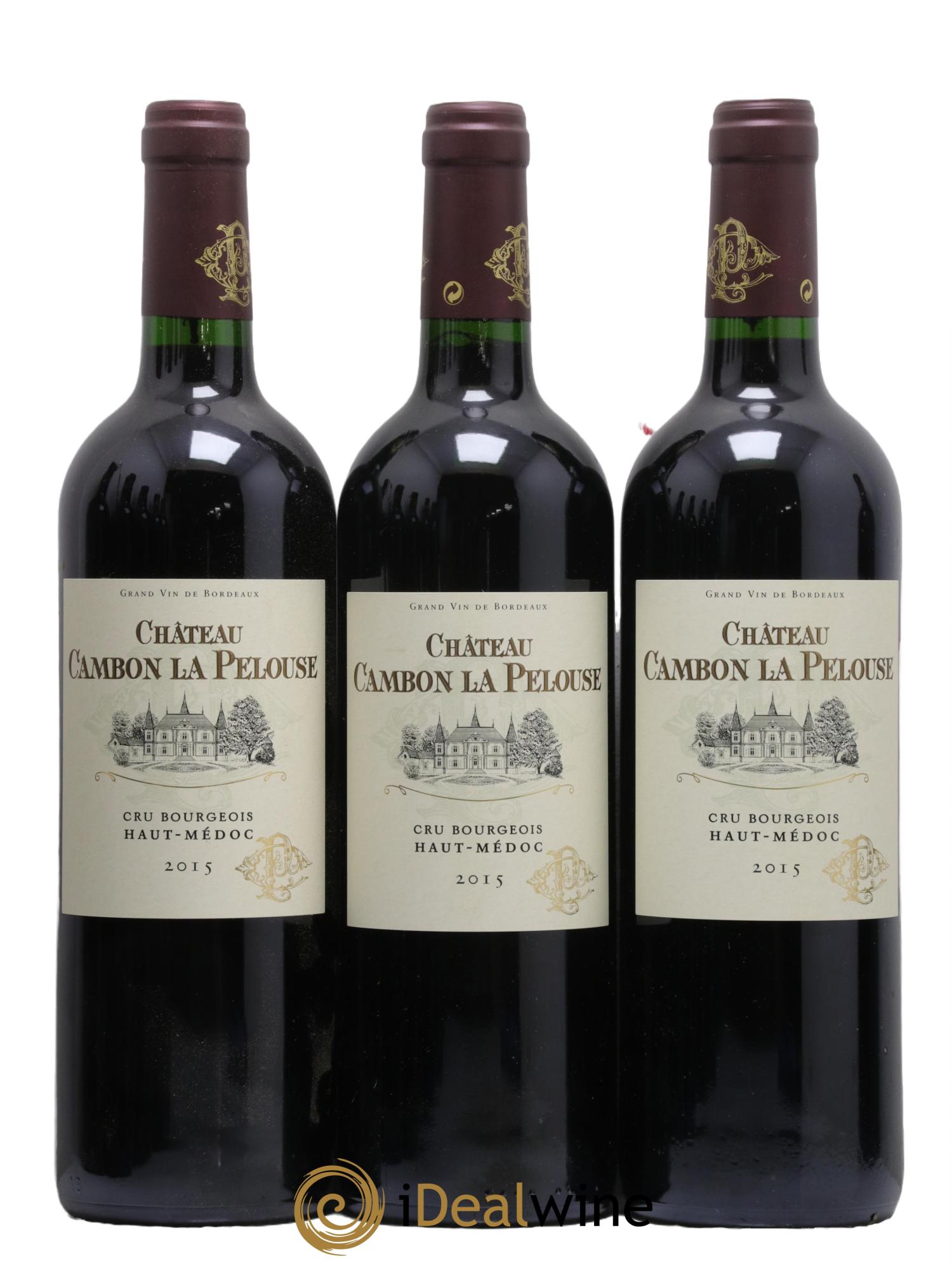 Château Cambon la Pelouse Cru Bourgeois 2015 - Lot de 12 bouteilles - 2