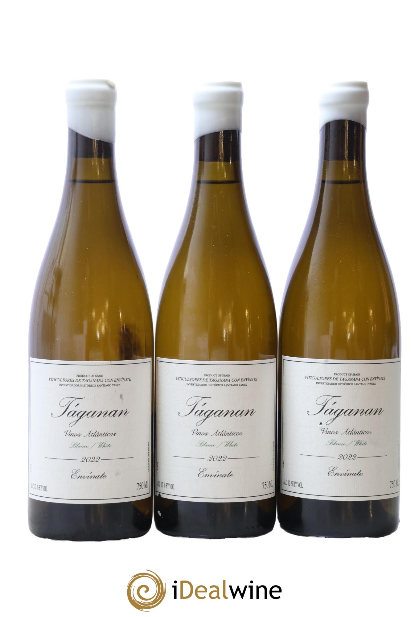 Vinos Atlántico Táganan Blanco Envinate 2022 - Lot de 3 bouteilles - 0