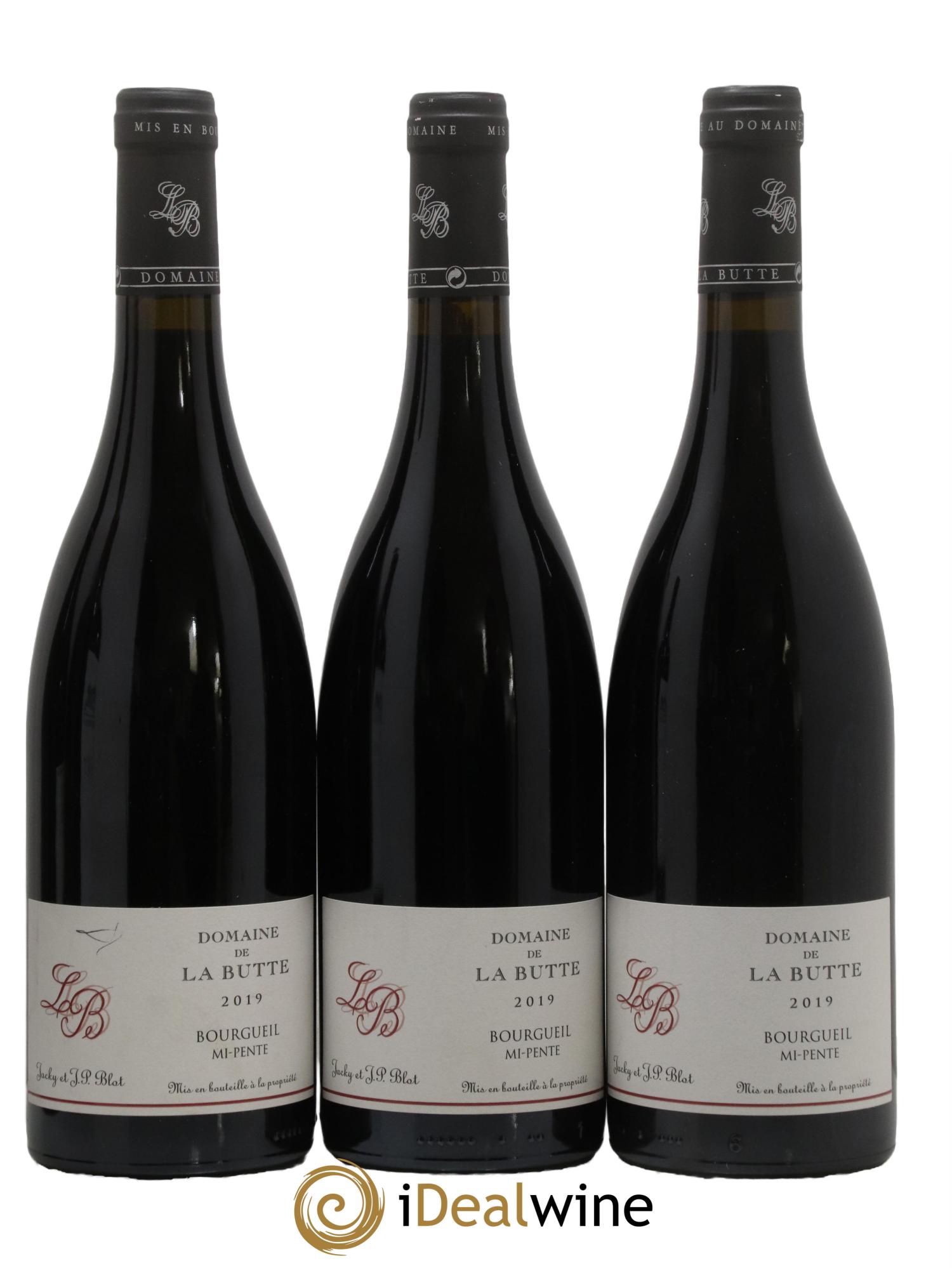Bourgueil Mi-Pente Domaine de La Butte - Jacky Blot 2019 - Lot de 3 bouteilles - 0