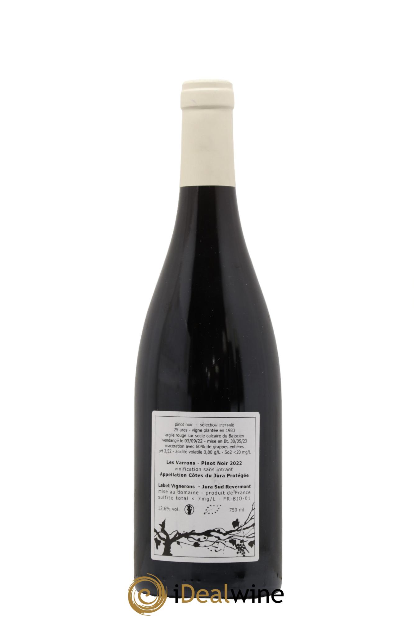 Côtes du Jura Pinot Noir Les Varrons Sélection Massale Romain - Julien - Charline Labet 2022 - Lot de 1 bouteille - 1