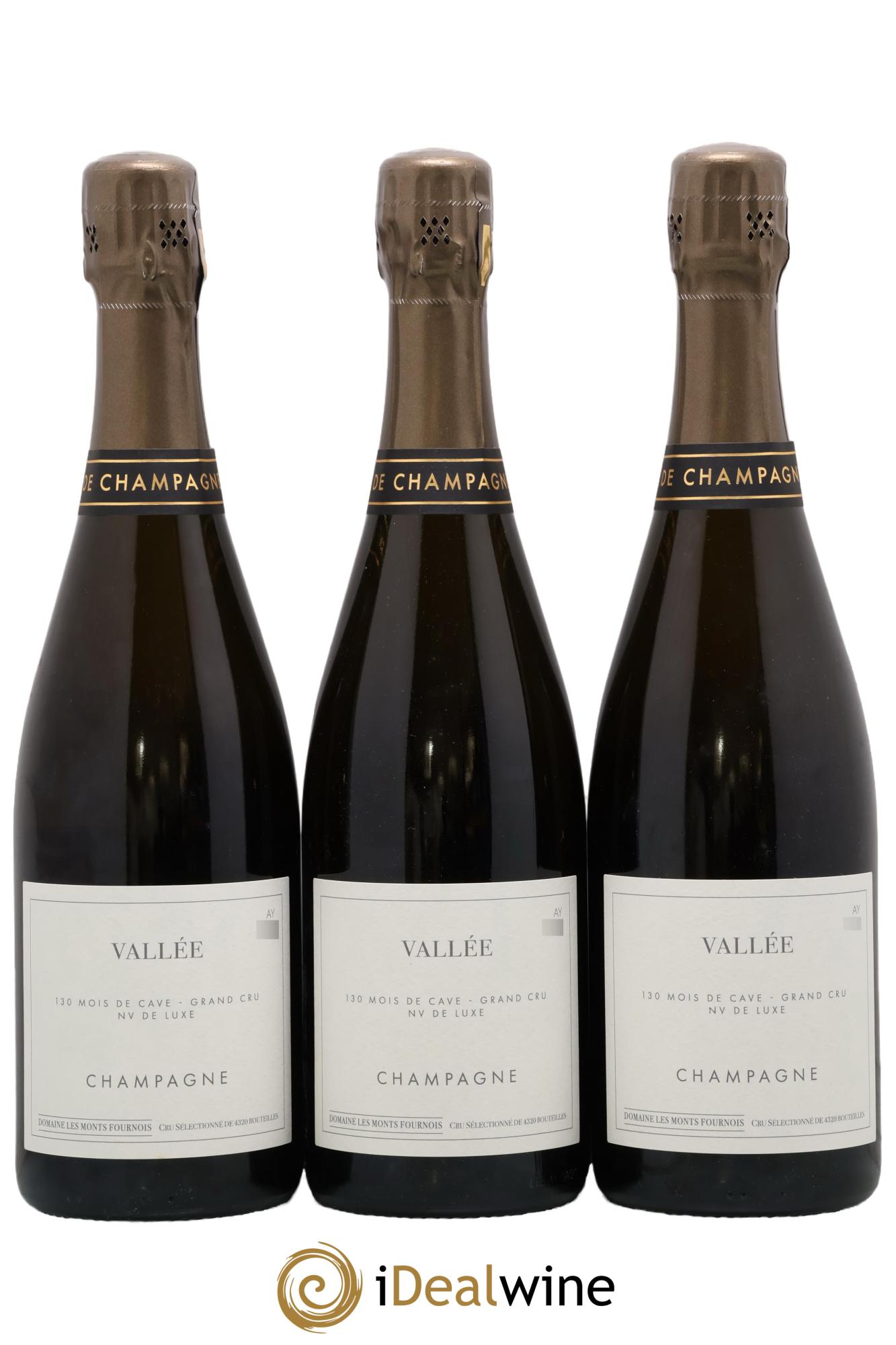 Vallée Aÿ Grand Cru Les Monts Fournois (Domaine) - Posten von 3 Flaschen - 0