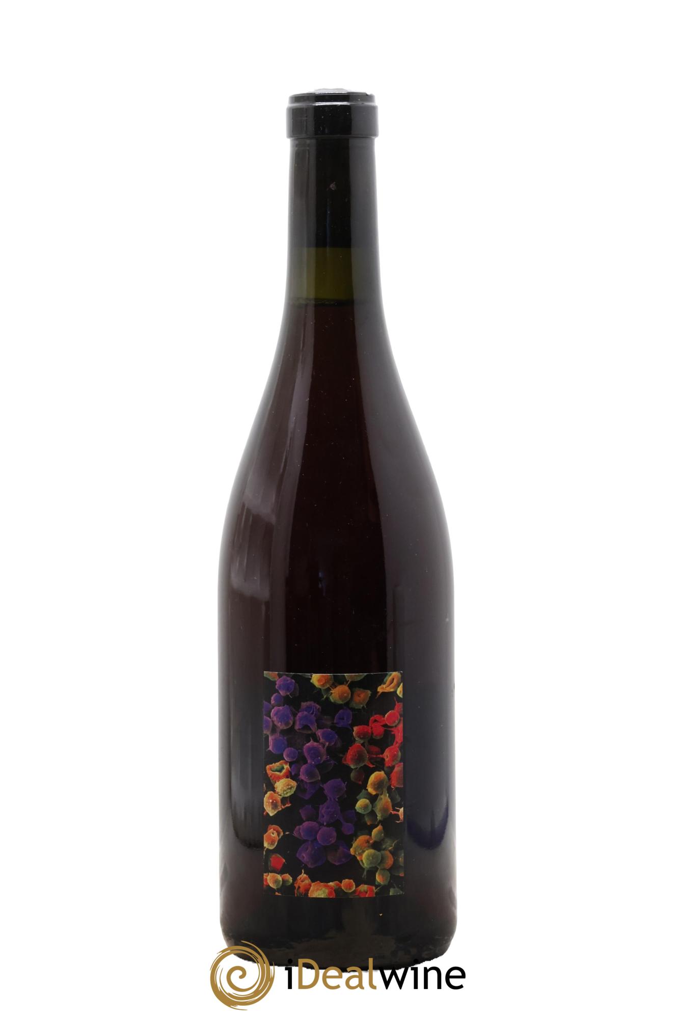 Arbois Gamay Le Creux Allante Boulanger 2024 - Lot of 1 bottle - 0