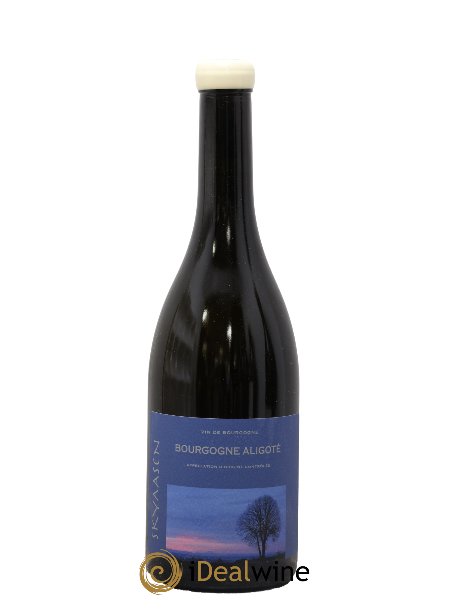 Bourgogne Aligoté Maison Skyaasen 2023 - Lot de 1 bouteille - 0