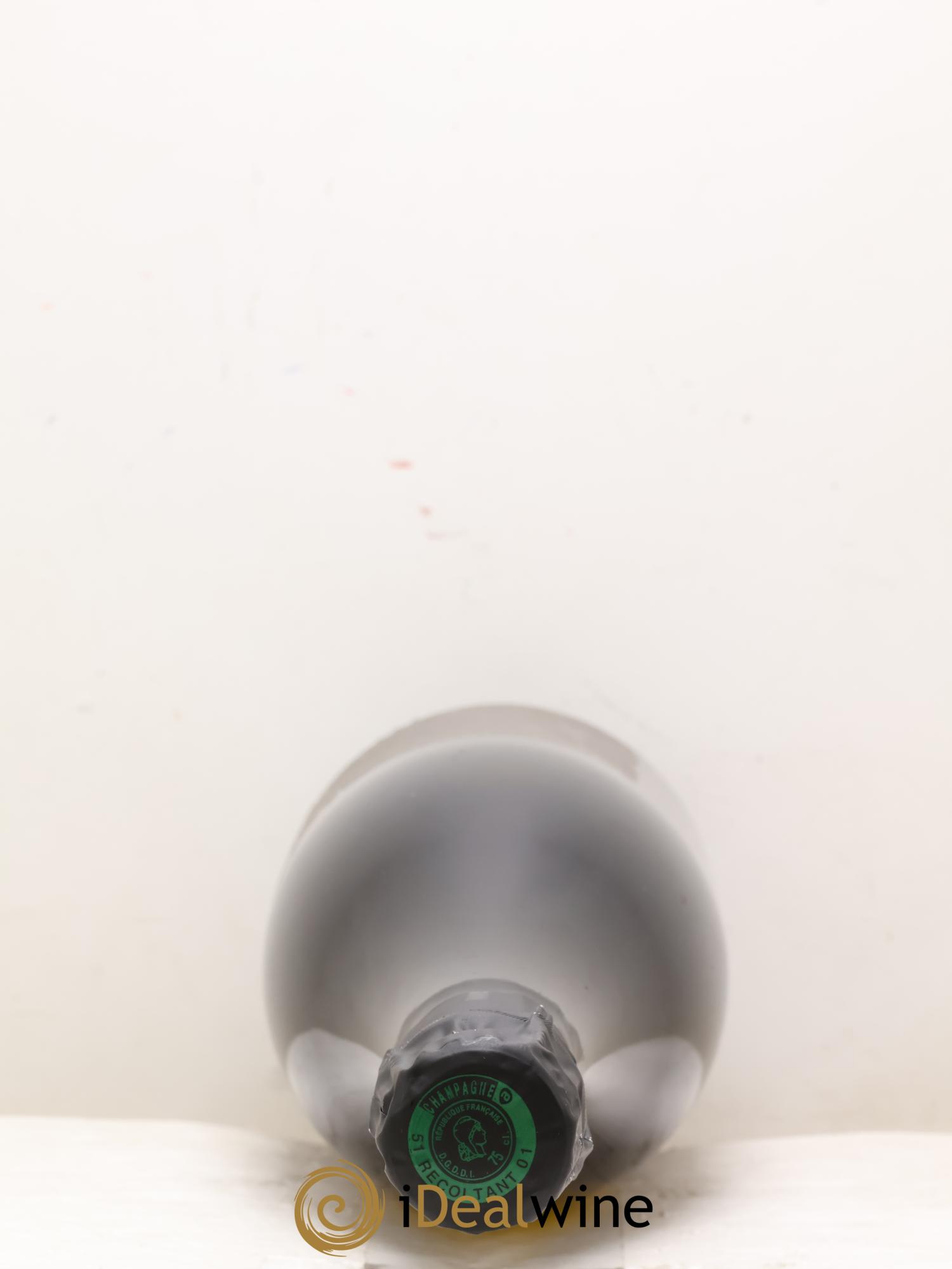 Roses de Jeanne La Haute-Lemblé Cédric Bouchard 2020 - Lot of 1 bottle - 2