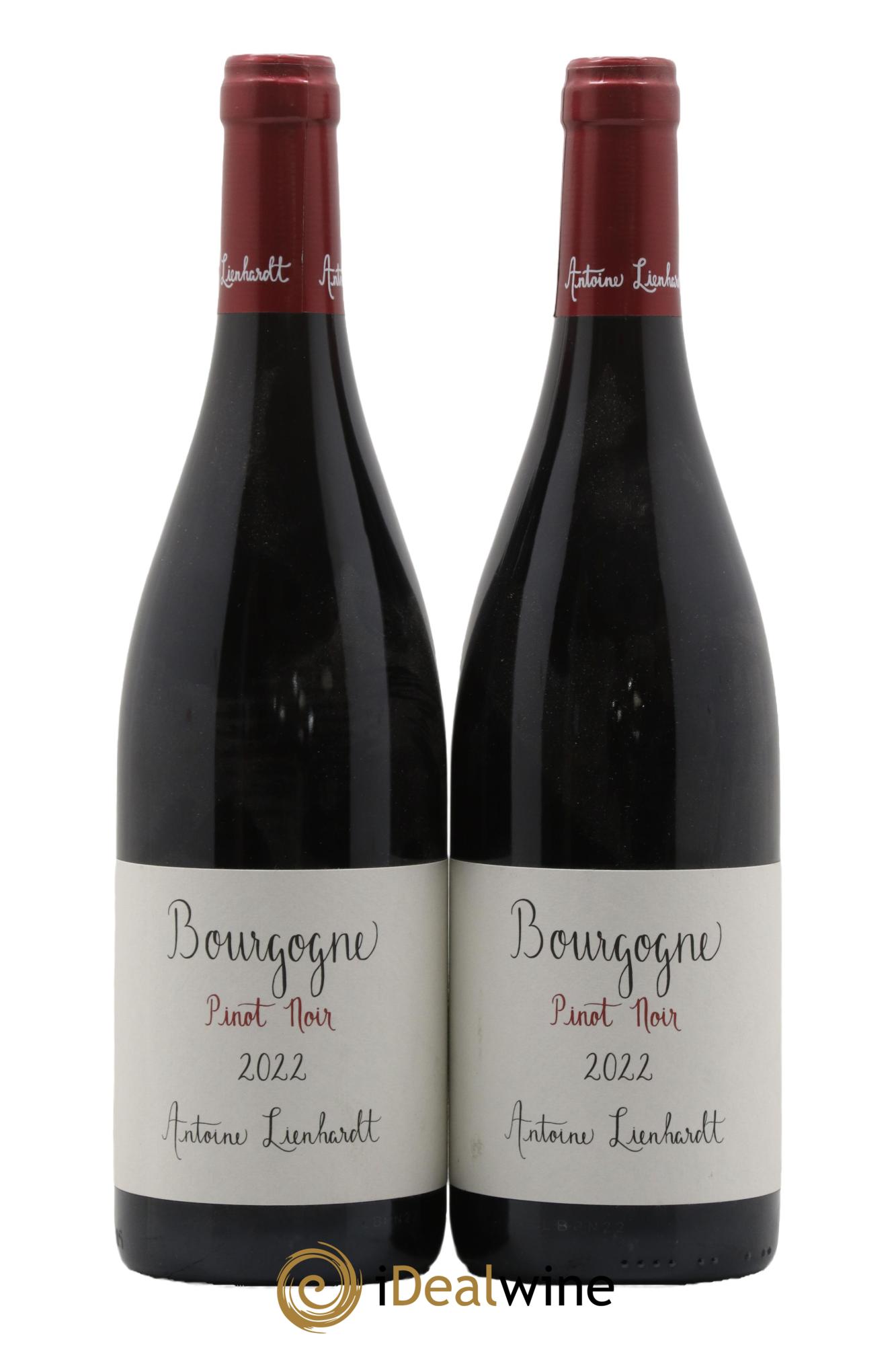 Bourgogne Pinot Noir Antoine Lienhardt 2022 - Lot de 2 bouteilles - 0