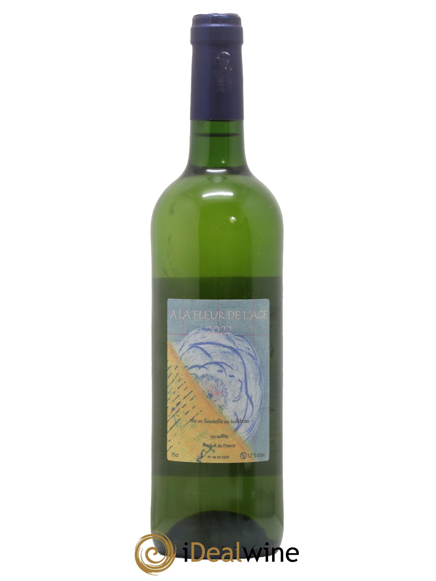 Vin de France La Fleur De L'Age Alain Castex 2022 - Lot de 1 bouteille - 1