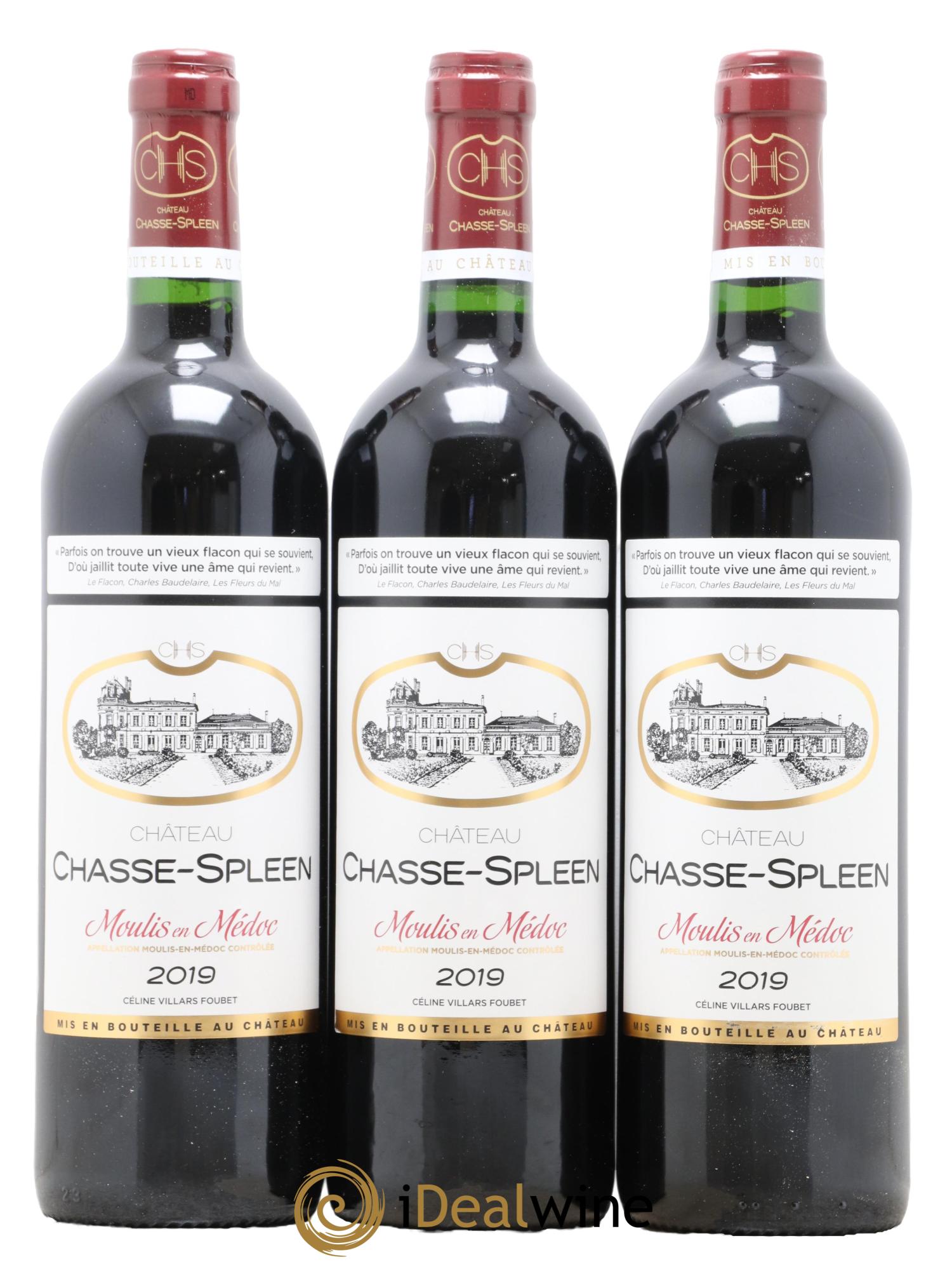 Château Chasse Spleen 2019 - Lot de 12 bouteilles - 4
