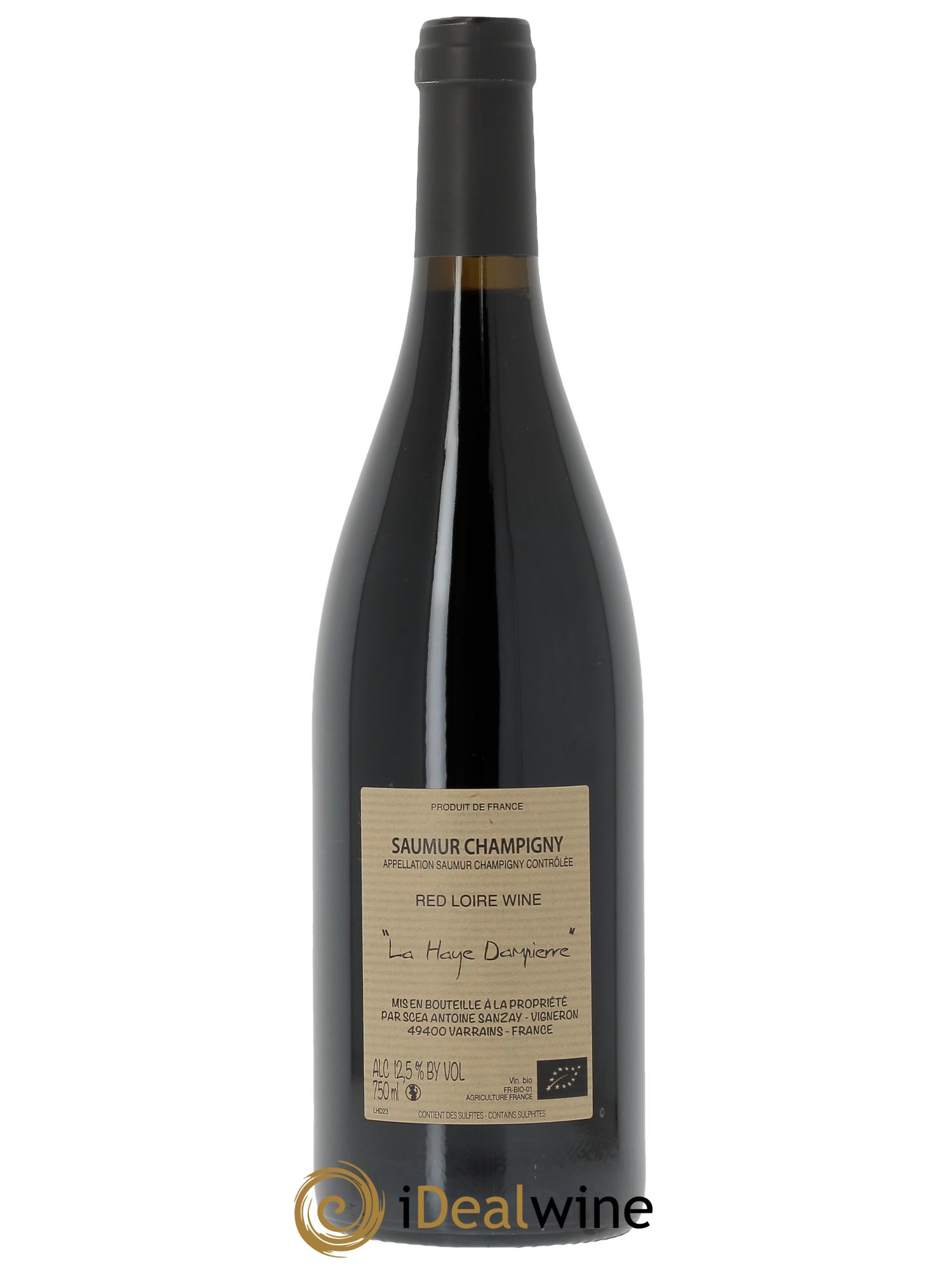 Saumur-Champigny La Haye Dampierre Antoine Sanzay  2023 - Lot de 1 bouteille - 1
