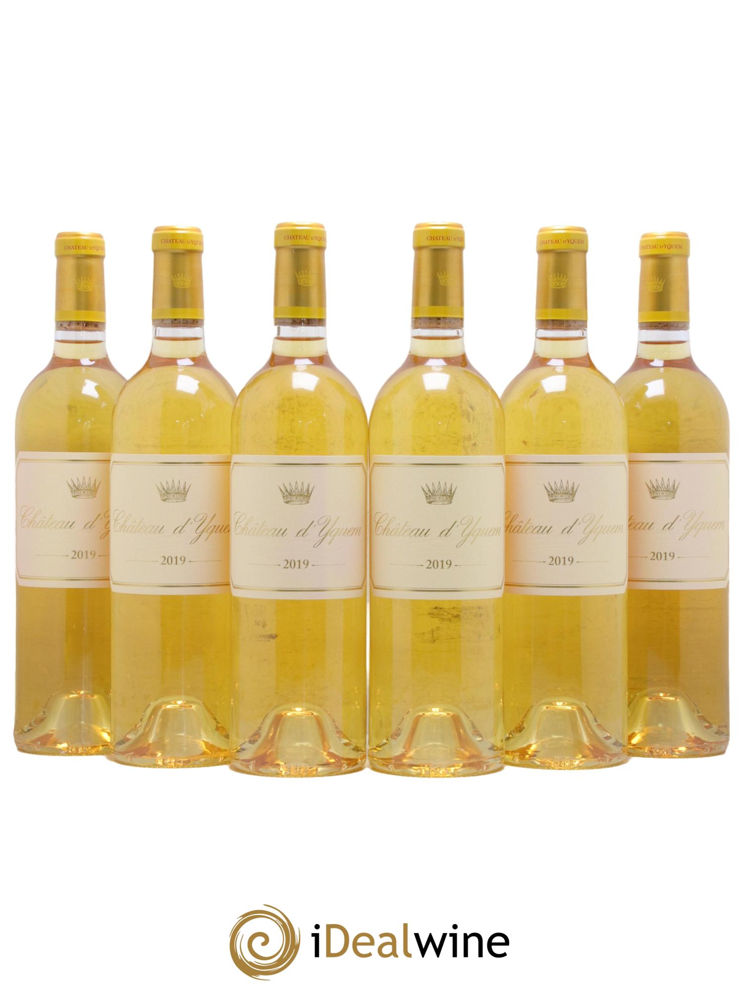 Château d' Yquem 1er Cru Classé Supérieur  2019 - Lotto di 6 bottiglie - 0