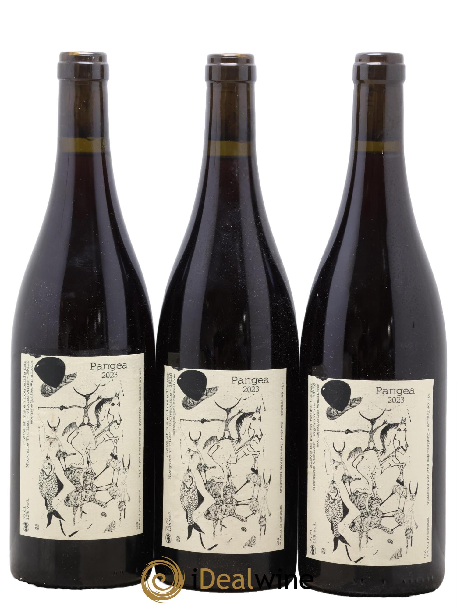 Vin de France Pangea Morgane Turlier 2023 - Lotto di 3 bottiglie - 0