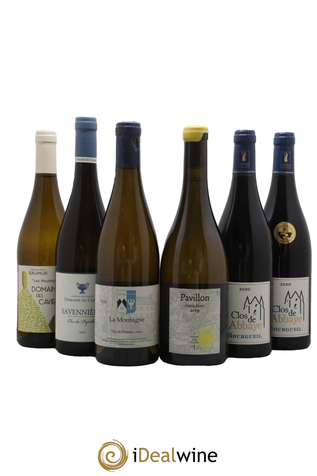 Assortiment de vins d'Anjou noir - Saumur - Bourgueil N°3 - Lot of 6 bottles - 0