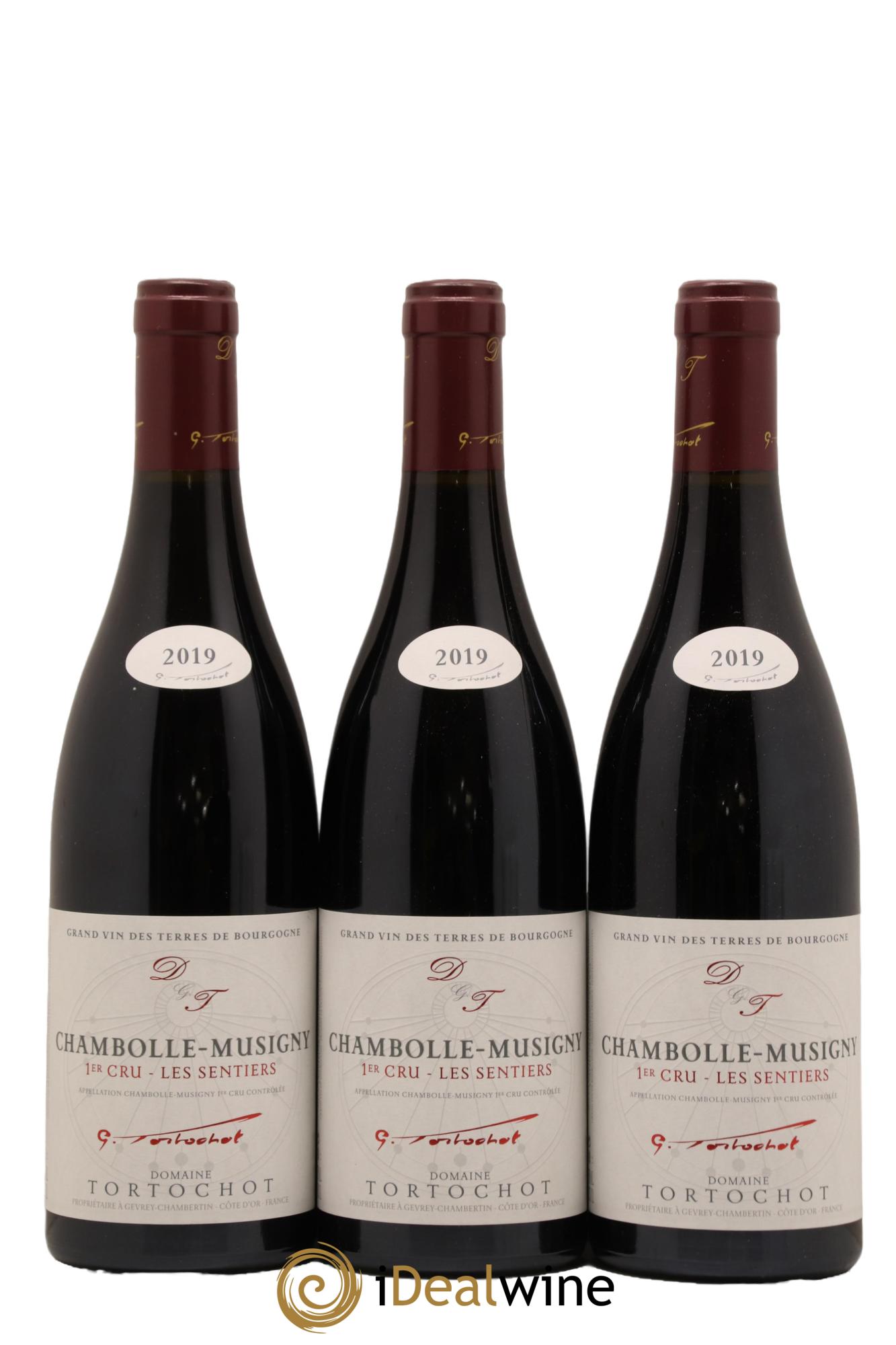 Chambolle-Musigny 1er Cru Les Sentiers Tortochot (Domaine) 2019 - Lot de 3 bouteilles - 0