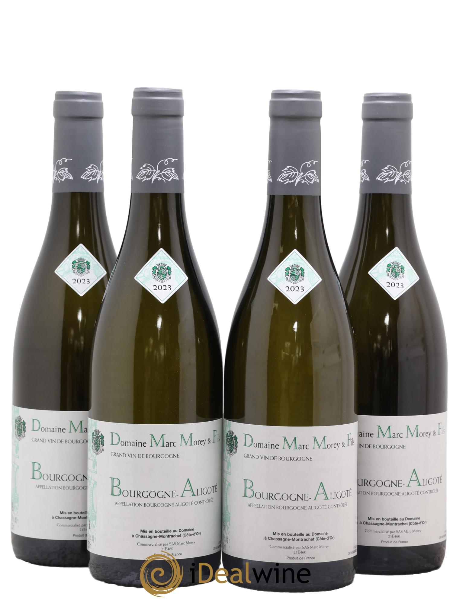 Bourgogne Aligoté Marc Morey 2023 - Lot de 4 bouteilles - 0