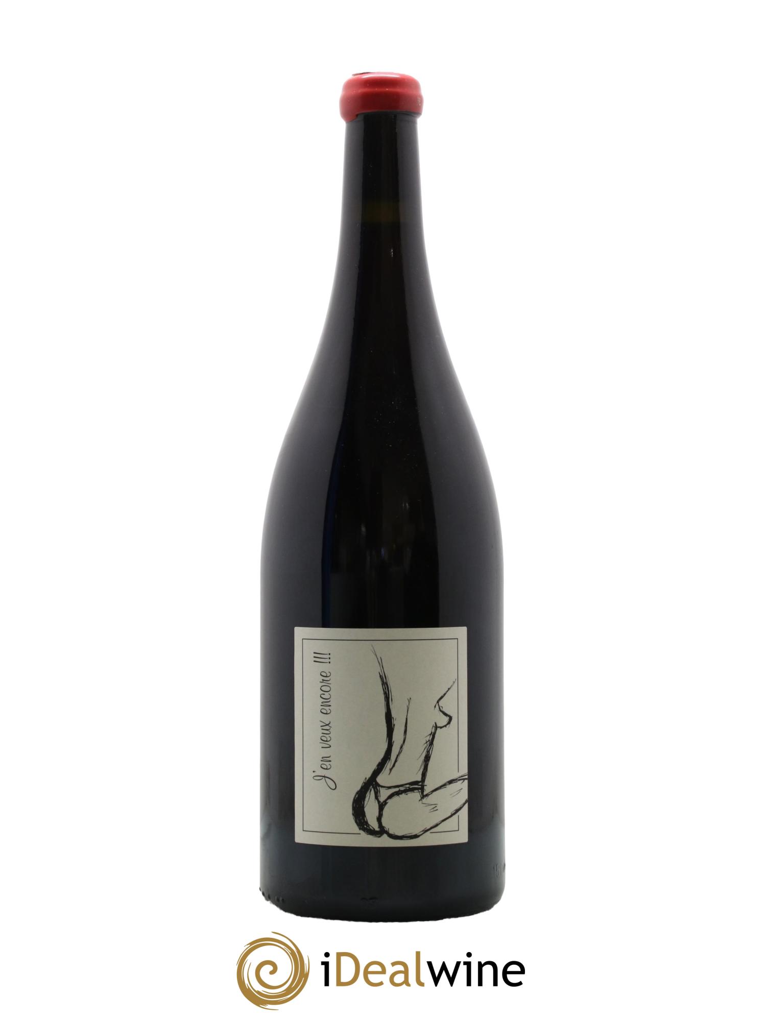 Vin de France J'en veux encore Anne et Jean François Ganevat 2015 - Posten von 1 Magnum - 0