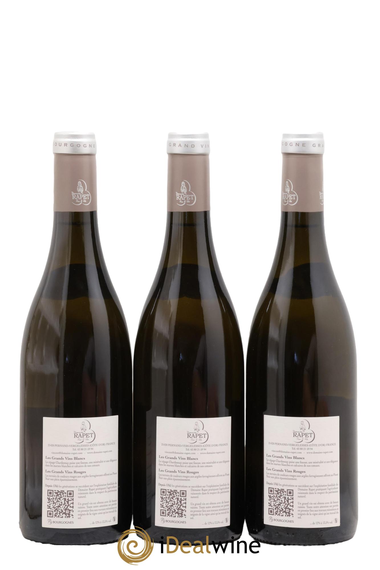 Corton-Charlemagne Grand Cru Rapet Père & Fils 2015 - Lot de 3 bouteilles - 1