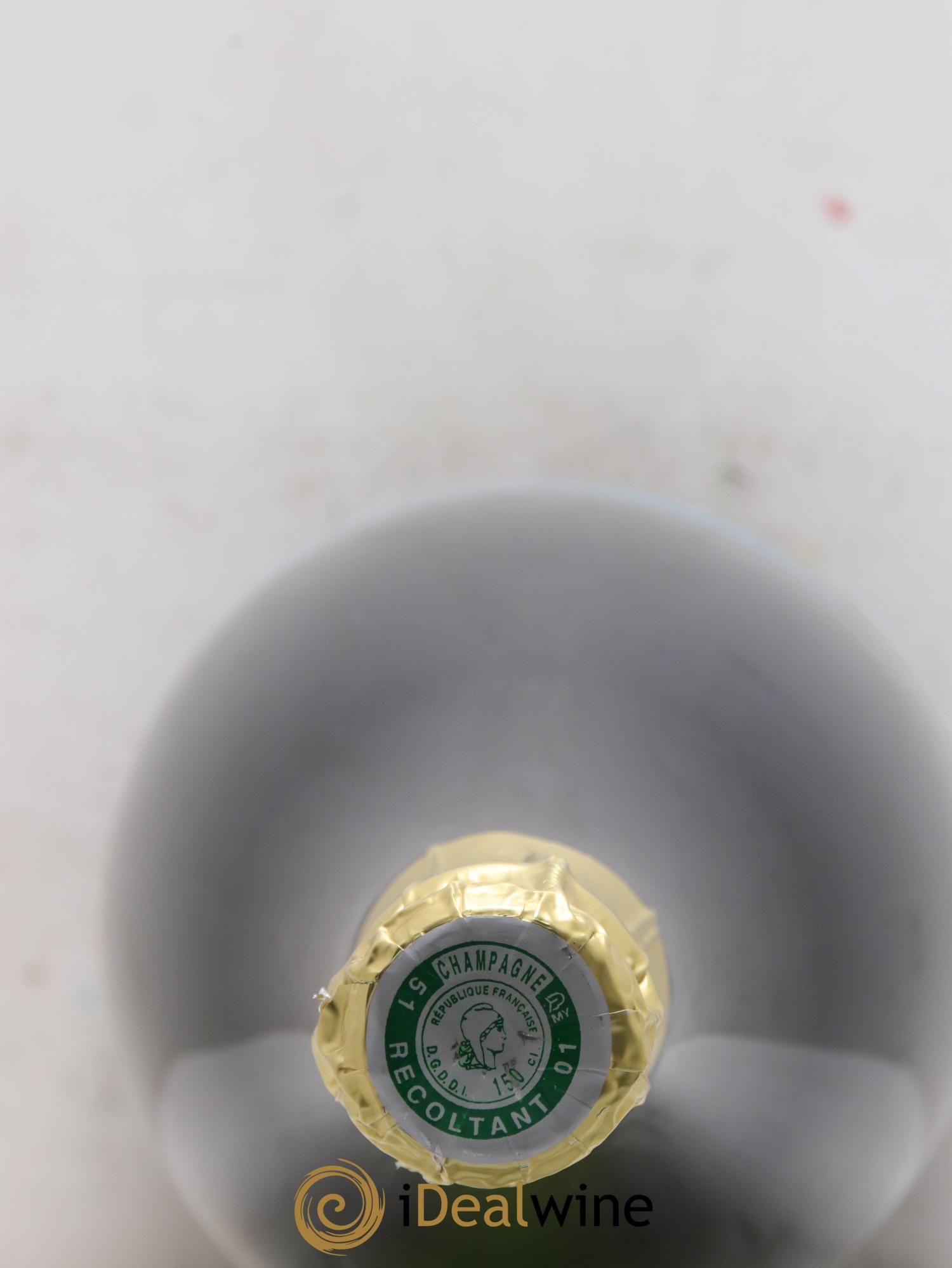 Champagne L etang de nos Souvenirs Romain Henin - Lot de 1 magnum - 2