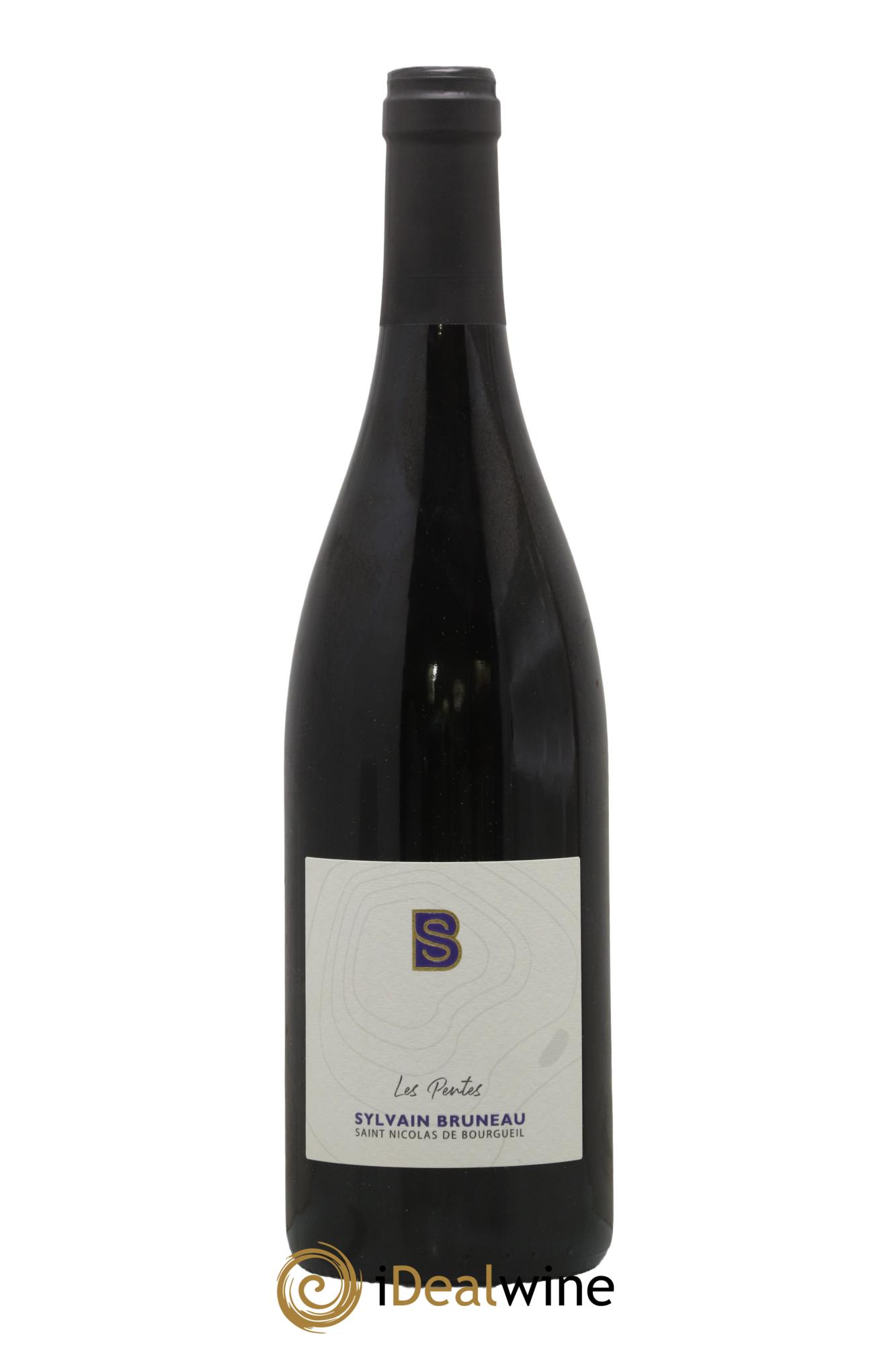 Saint-Nicolas de Bourgueil Les Pentes Domaine Sylvain Bruneau 2022 - Posten von 1 Flasche - 0