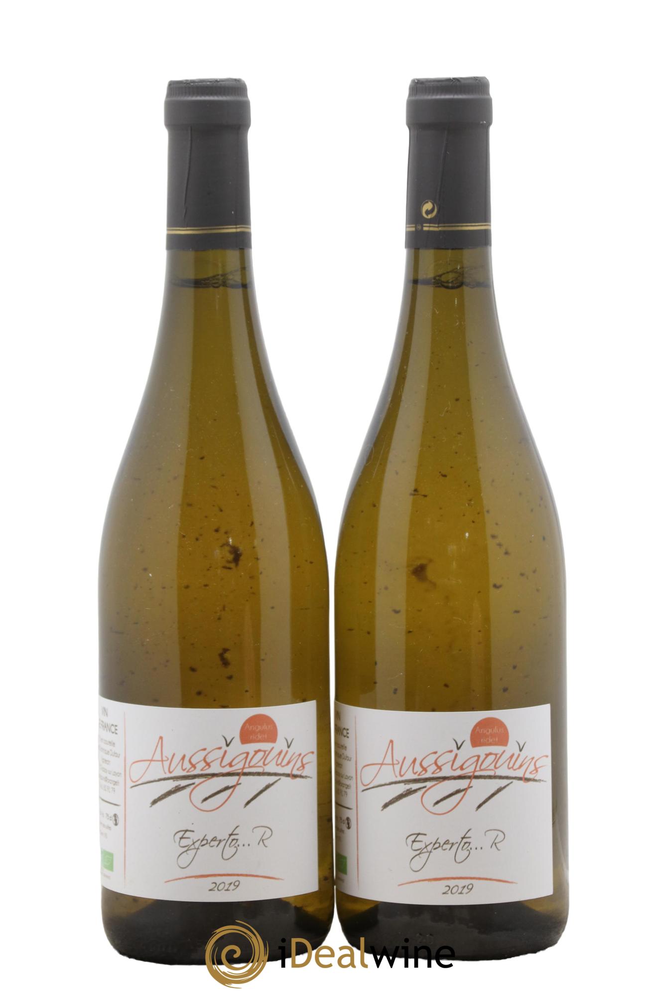Vin de France Experto R Les Aussigouins Dominique Dufour 2019 - Lot de 2 bouteilles - 0