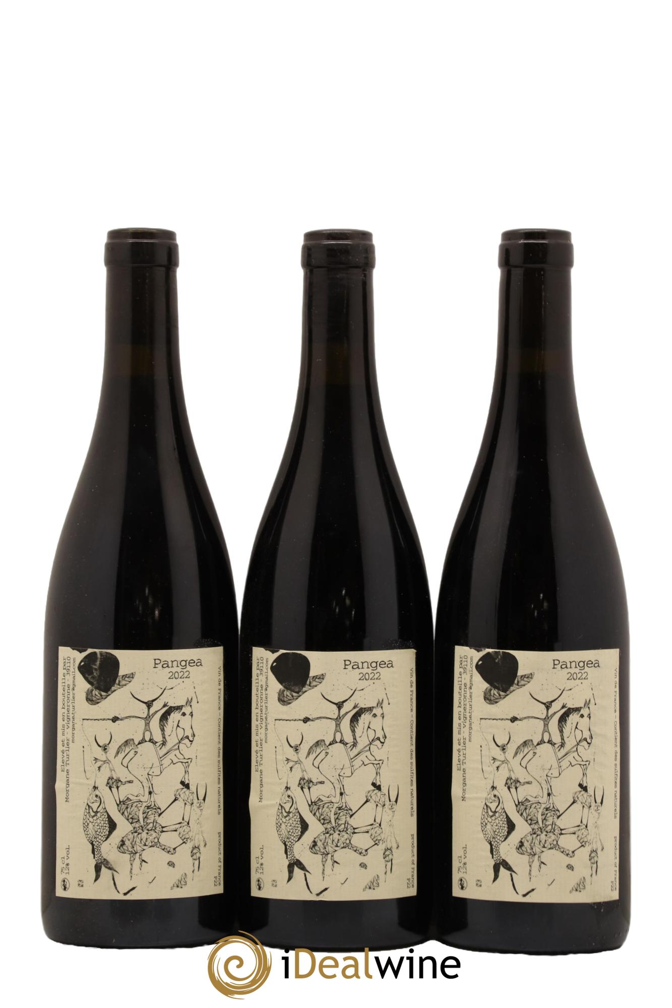 Vin de France Pangea Morgane Turlier 2022 - Lot de 3 bouteilles - 0