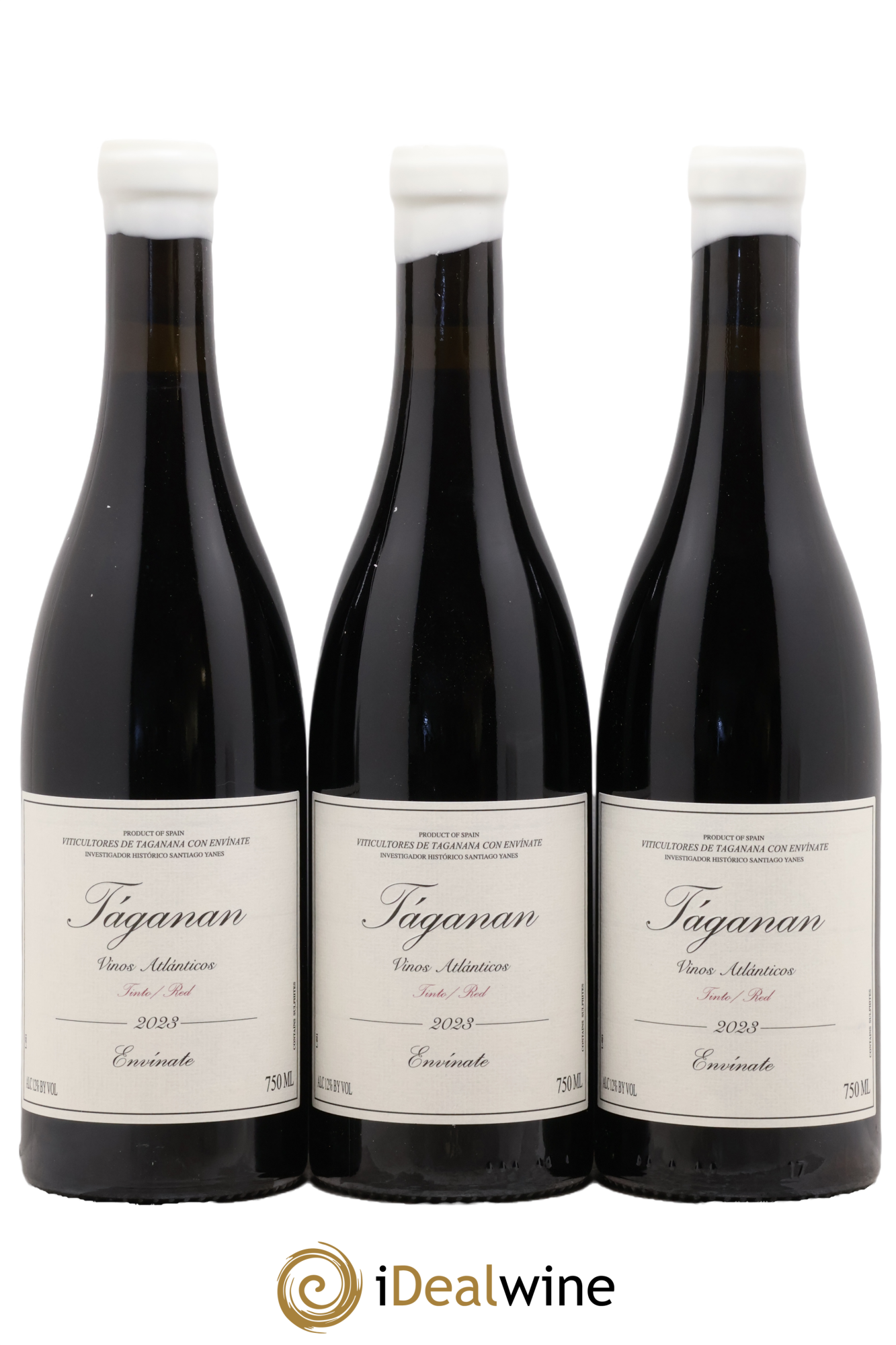 Vinos Atlánticos Táganan Tinto Envinate 2023 - Lot of 3 bottles - 0