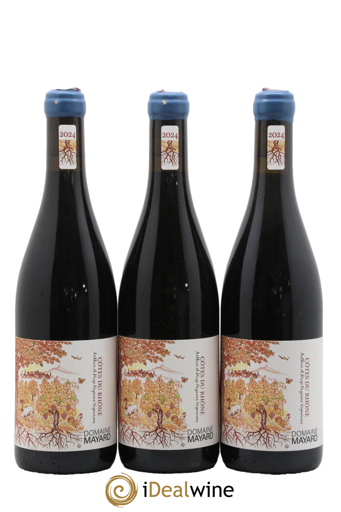 Côtes-du-Rhône Mayard (Domaine) 2024 - Lot de 3 bouteilles - 0