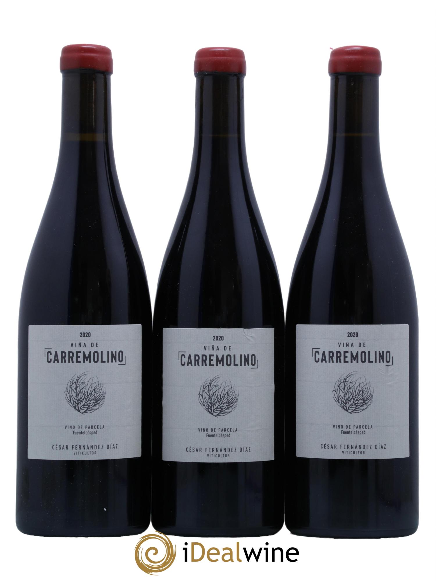 Castilla y Leon Vino de Parcela Carremolino Cesar Fernandez Diaz 2020 - Lotto di 3 bottiglie - 0
