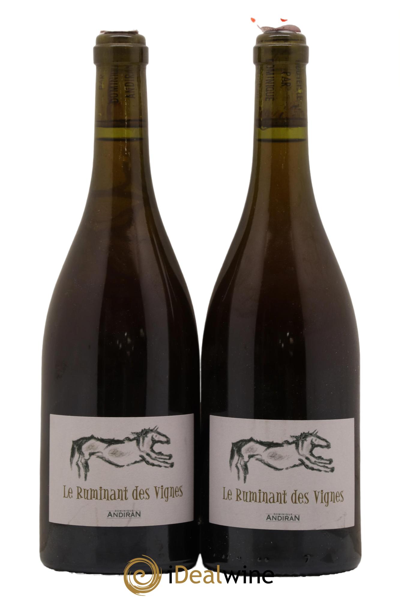 Vin de France Le Ruminant des Vignes Dominique Andiran 2013 - Lot de 2 bouteilles - 0