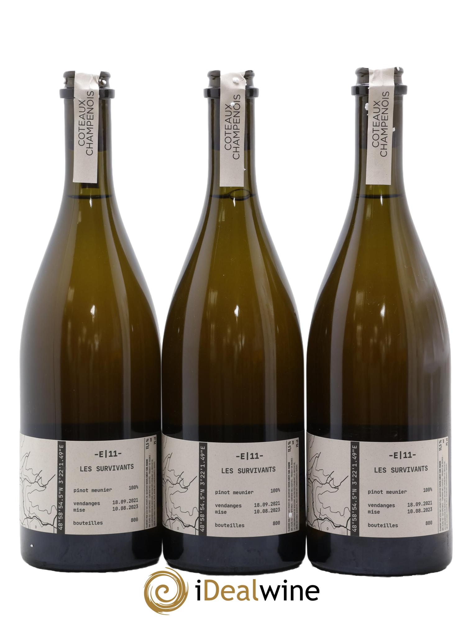 Coteaux Champenois E 11 Les Survivants Tom Gauditiabois 2021 - Lot de 3 bouteilles - 1