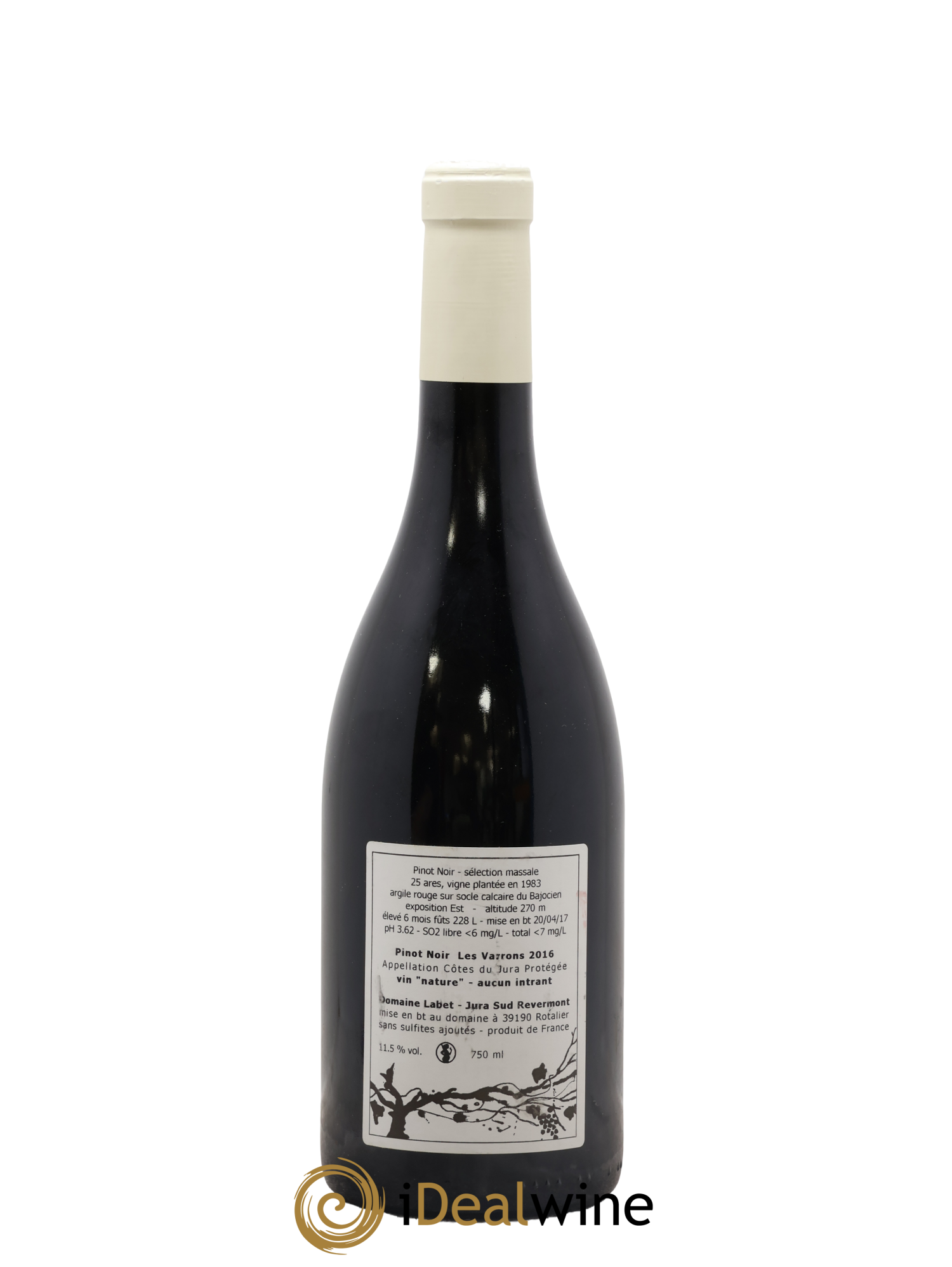 Côtes du Jura Pinot Noir Les Varrons Sélection Massale Romain - Julien - Charline Labet 2016 - Lotto di 1 bottiglia - 1