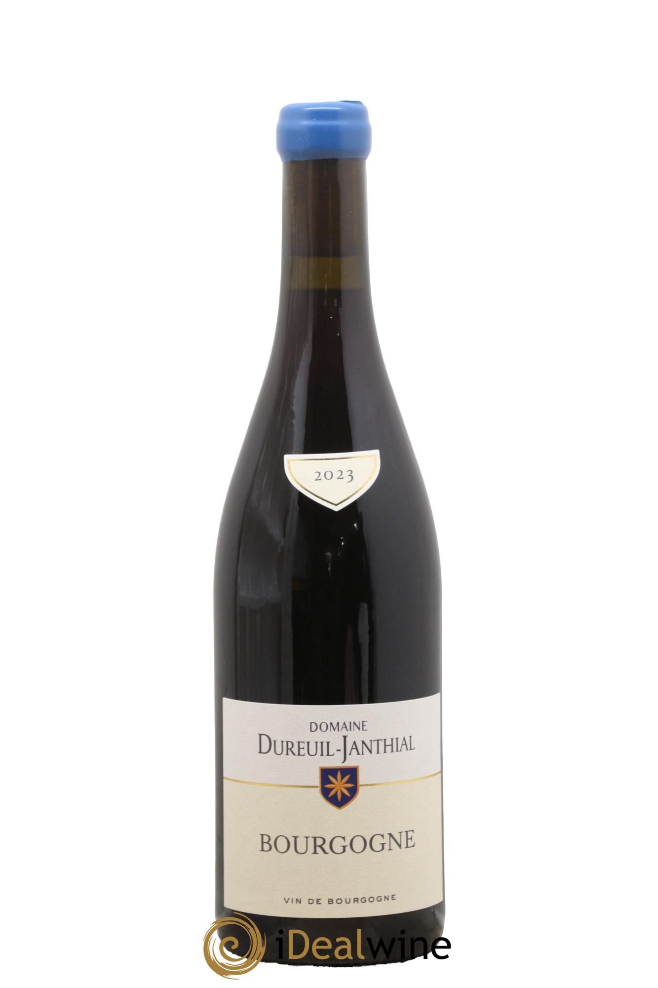 Bourgogne Pinot Noir Vincent Dureuil-Janthial 2023 - Lotto di 1 bottiglia - 0