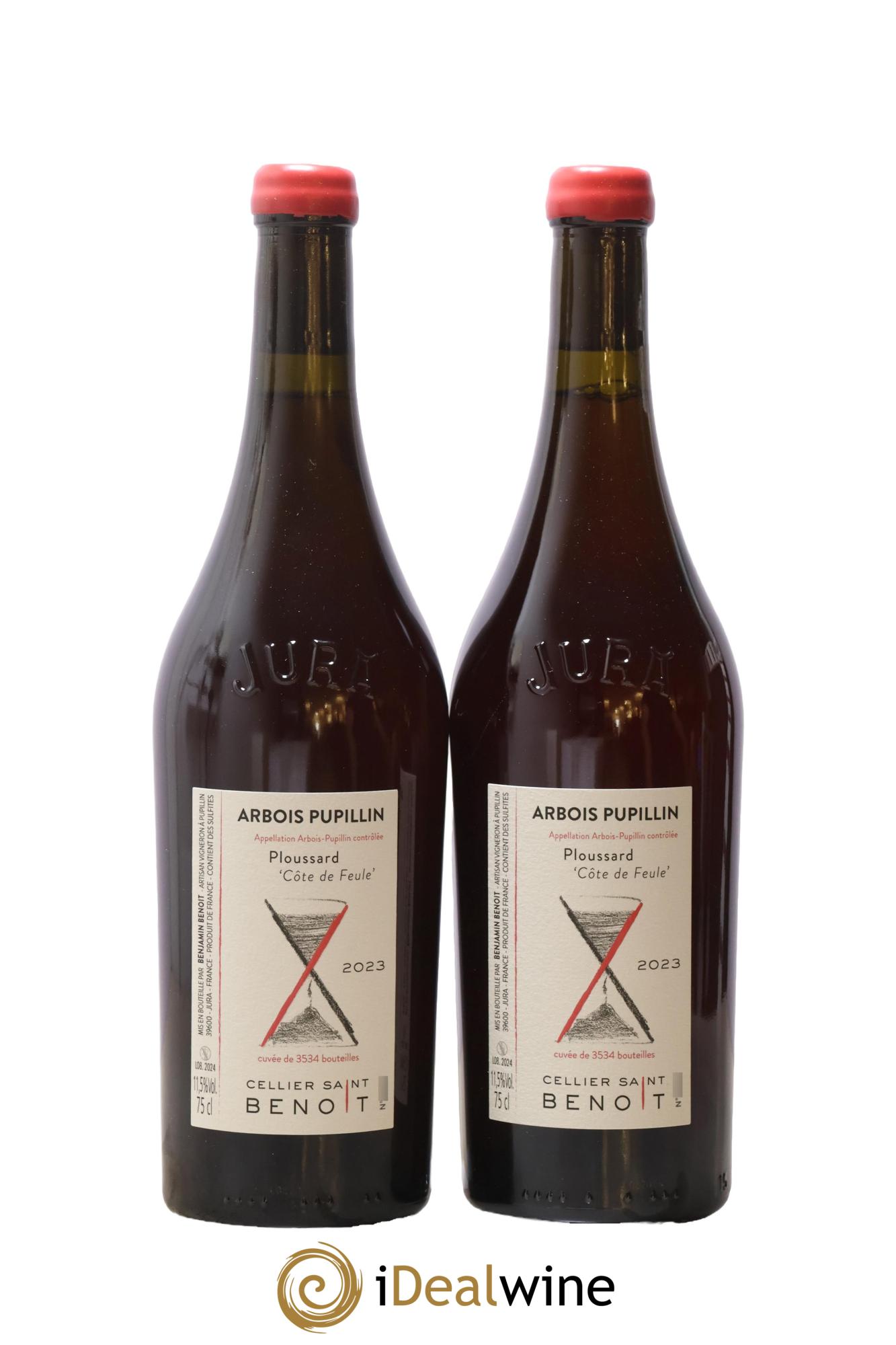 Arbois-Pupillin Ploussard Côte de Feule Cellier Saint Benoît 2023 - Lot de 2 bouteilles - 0