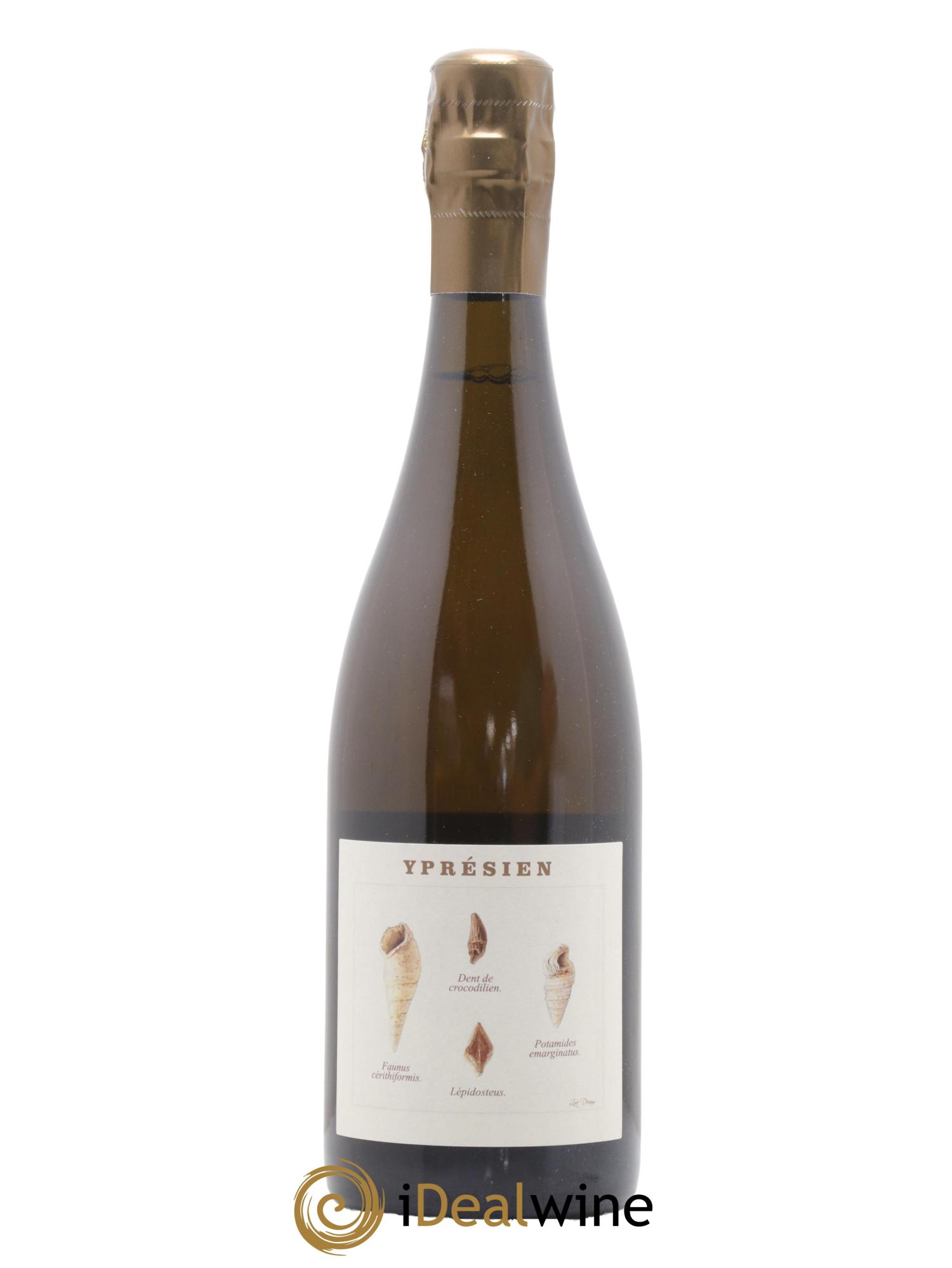 Yprésien Legrand Latour - Lot de 1 bouteille - 0