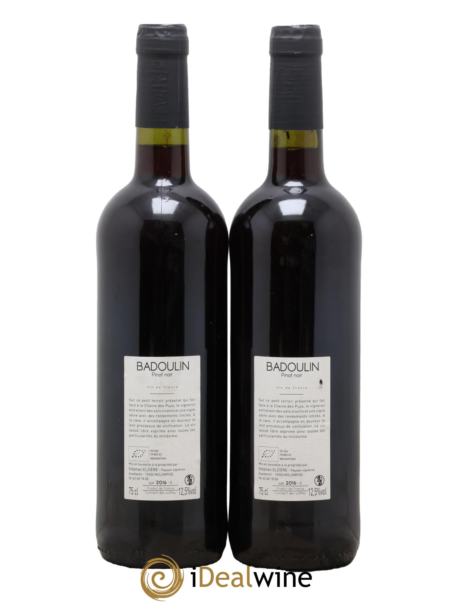 Vin de France Pinot Noir Badoulin Stéphan Elzière 2016 - Lot de 2 bouteilles - 1