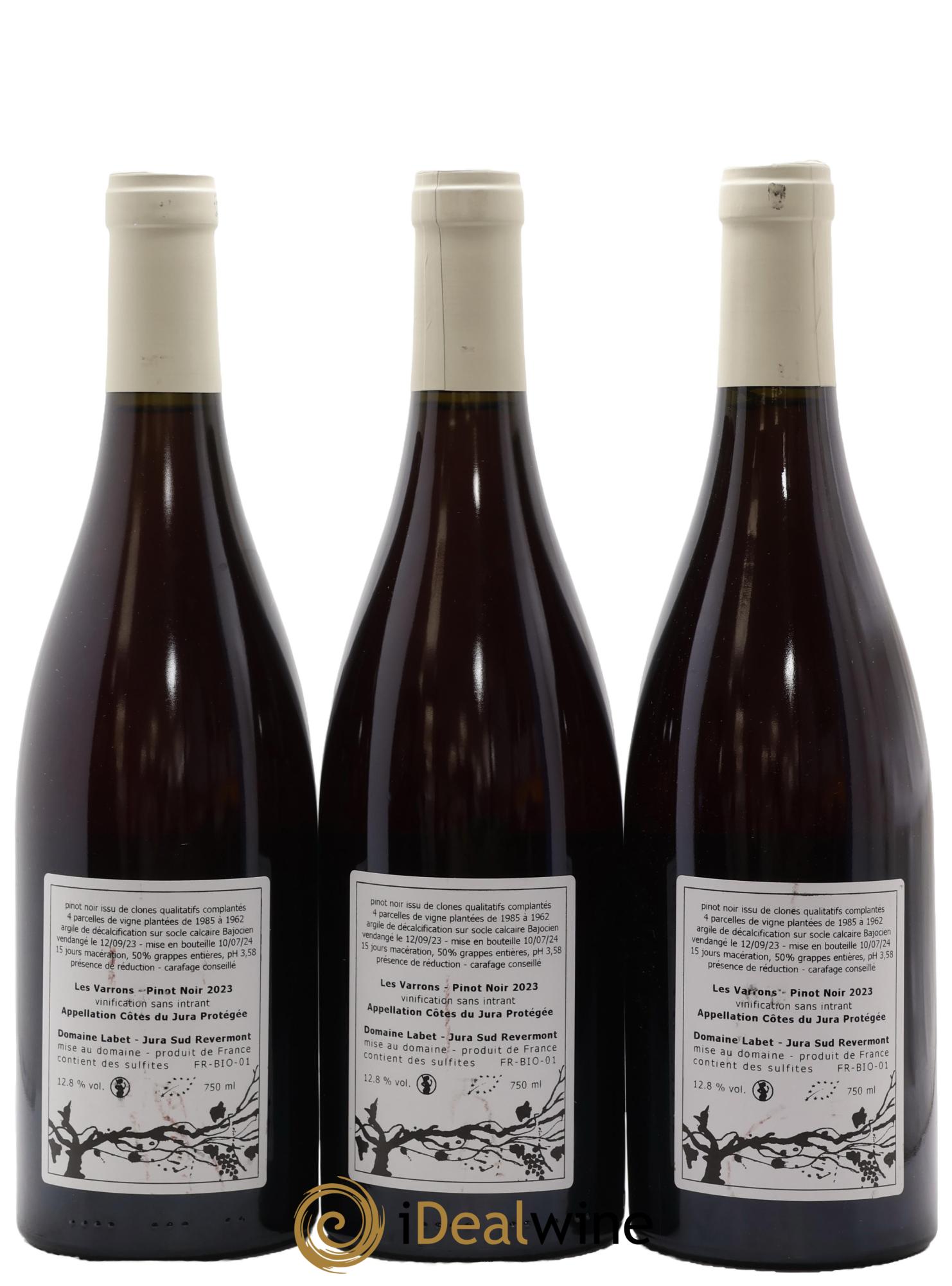 Côtes du Jura Pinot Noir Les Varrons Romain - Julien - Charline Labet 2023 - Posten von 3 Flaschen - 1