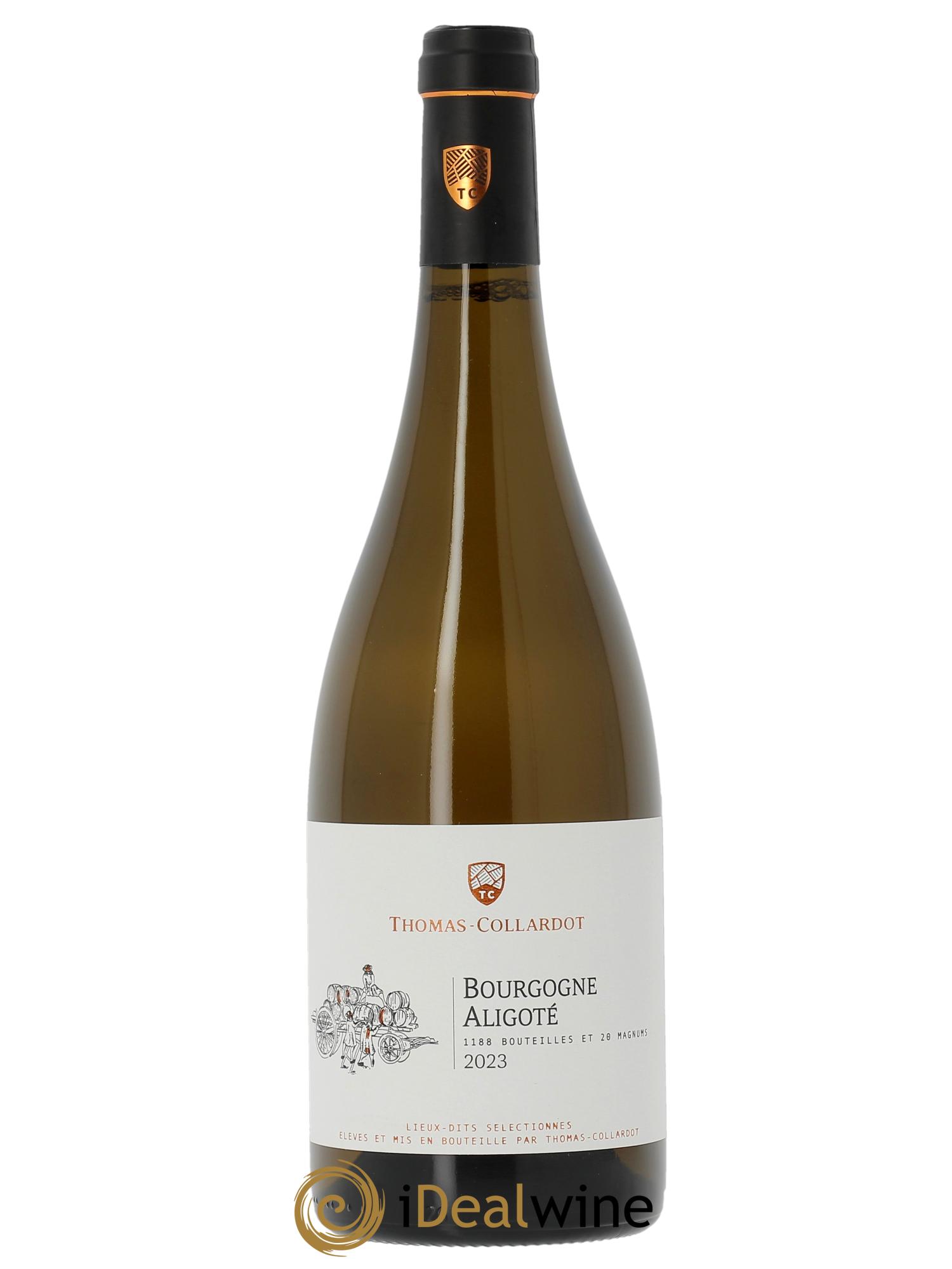 Bourgogne Aligoté Thomas-Collardot (Domaine) 2023 - Lotto di 1 bottiglia - 0