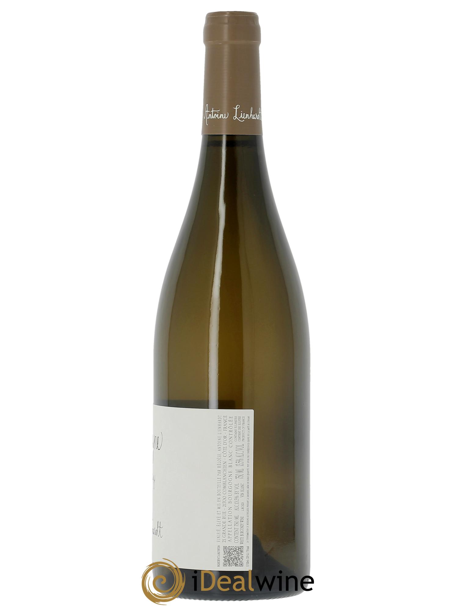 Bourgogne Antoine Lienhardt  2023 - Lotto di 1 bottiglia - 1