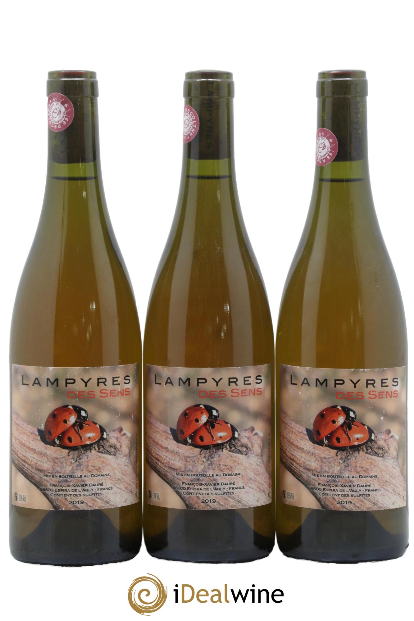 Vin de France Lampyres des sens Domaine des Lampyres 2019 - Lot de 3 bouteilles - 0