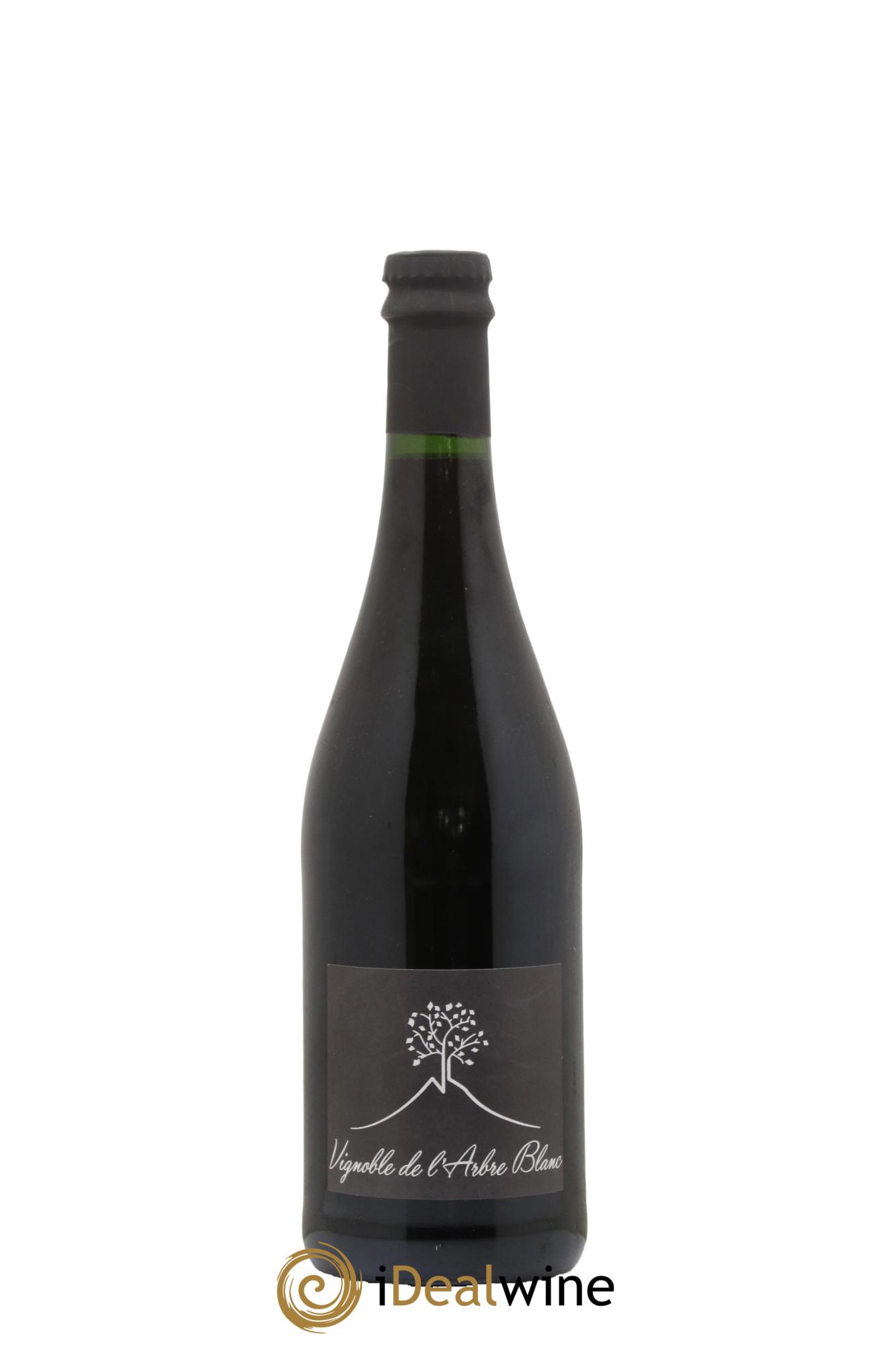 Vin de France Les Orgues Vignoble de l'Arbre Blanc 2019 - Lot of 1 bottle - 0